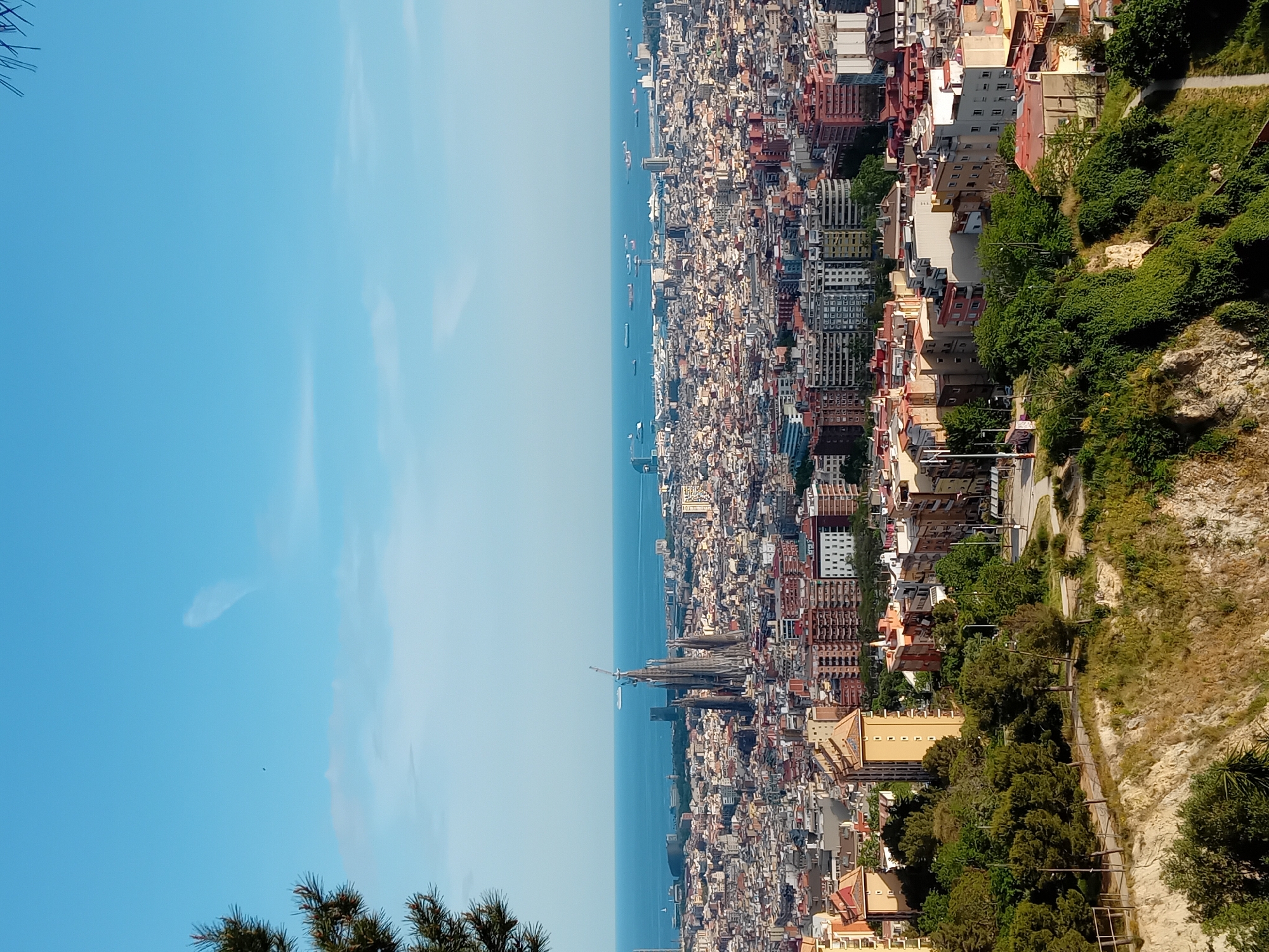 This high-angle, wide-shot photograph captures a vast coastal city under a clear blue sky, likely Barcelona, Spain, given the visible landmarks. The image is oriented with the bright, almost cloudless sky dominating the top half. A distinct horizon line of the calm, deep blue sea stretches across the mid-section, separating the sky from the densely packed urban landscape below.
Numerous ships, including what appear to be cargo vessels and smaller boats, are scattered across the water. The city itself sprawls from the coastline, characterized by countless buildings of various architectural styles and heights, with many showing terracotta roofs and light-colored facades. The density of the city suggests a major metropolitan area. Notably, the iconic spires of the Sagrada Familia, with a construction crane next to them, are visible among the buildings, confirming the location.
To the right of the cityscape, a green, hilly, and somewhat arid natural landscape ascends, forming a border with the urban development. This hillside is dotted with trees, bushes, and patches of dry grass, and a winding dirt path or road can be seen traversing it. In the foreground, particularly towards the bottom left, some dark green foliage from trees partially frames the view.
The scene is illuminated by bright daylight, suggesting a sunny day, likely late morning or early afternoon. The overall impression is one of an expansive, bustling city meeting the sea and natural terrain. There are no identifiable people or visible text in the image.