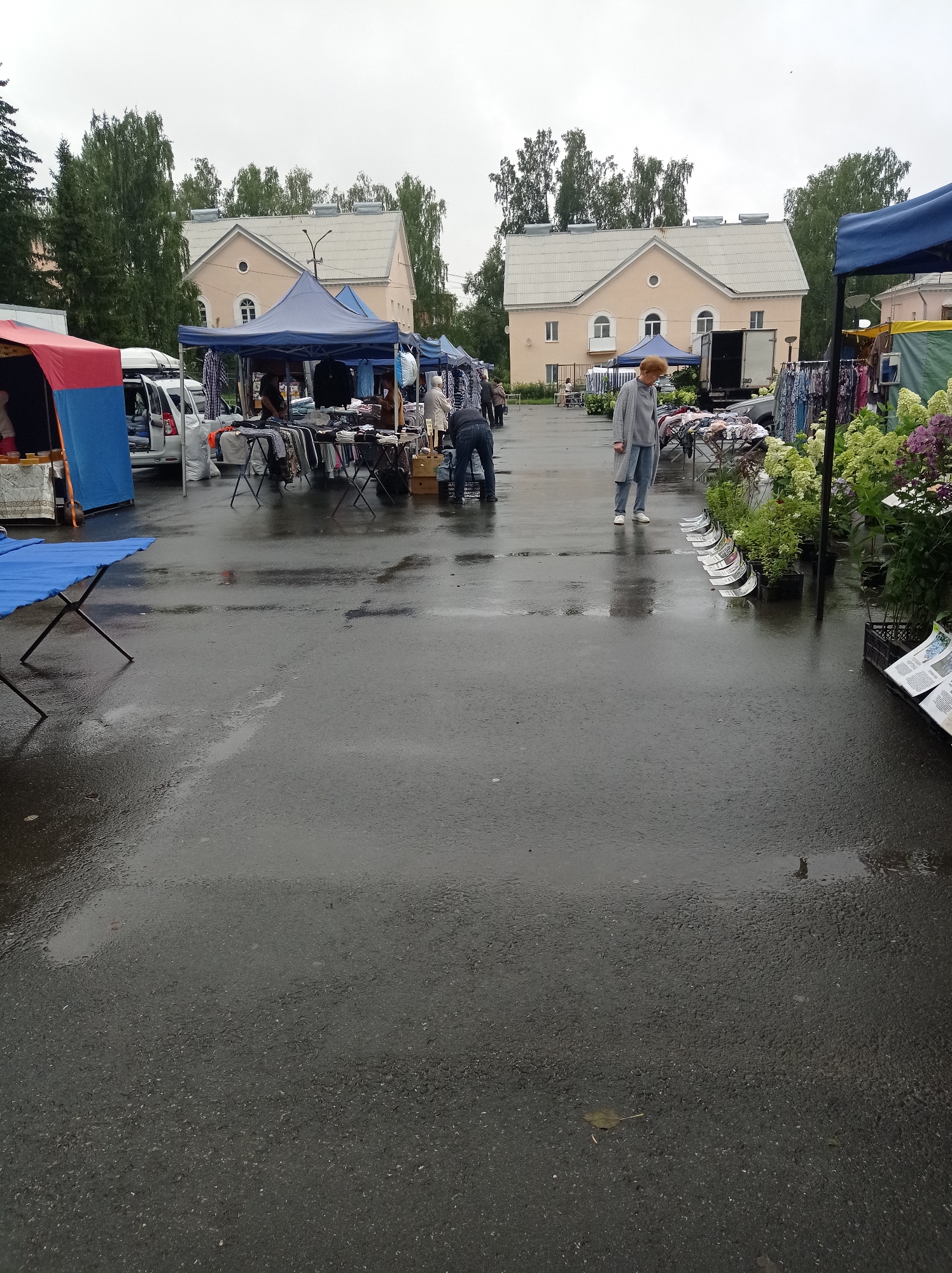 A street market is depicted on an overcast day in Degtyarsk, Russia. Several stalls are set up, primarily selling clothing and plants. A few individuals are browsing the merchandise. The ground is wet, indicating recent rain. In the background, two light-colored, multi-story buildings with peaked roofs are visible. Trees line the area behind the buildings. One stall features a red and blue canopy, and another has a blue canopy. People appear to be vendors or shoppers. The overall atmosphere suggests a typical outdoor market scene.