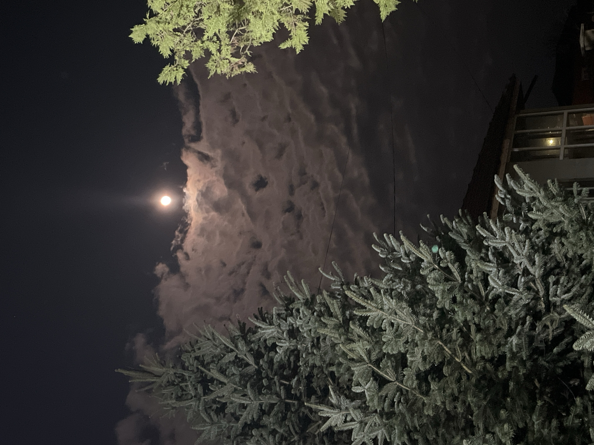 At night in Pchelnik, Bulgaria, the moon shines brightly through scattered clouds. Trees frame the scene. One tree, with lighter green leaves, is located near the upper part of the image. Another, with darker, blue-green needles, is located in the lower part of the image. A building is visible on the right, featuring a balcony with reflective surfaces. Overhead electrical wires cut across the scene.