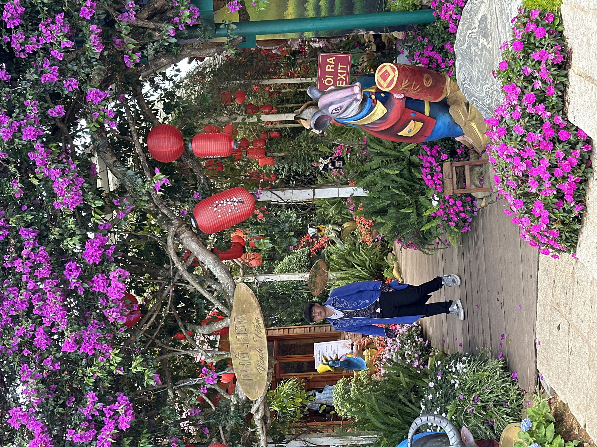This media file captures a vibrant scene in Da Lat, Vietnam. The foreground is dominated by lush, purple bougainvillea flowers cascading from trees and along a pathway. Several red, cylindrical lanterns are suspended from branches, adding a festive touch. A wooden walkway meanders through the scene, bordered by more colorful flowers and greenery.
A young person, dressed in a striking blue jacket with intricate silver embroidery and black pants, walks along the wooden path. They are looking towards the camera with a relaxed and pleasant expression. Behind them, a whimsical, colorful statue of a mouse wearing a traditional costume stands prominently, adorned with a red hat and a golden belt. A red sign with white lettering is visible near the statue, displaying the text "CHO RA EXIT". Further in the background, a building with wooden doors and windows suggests a cafe or shop, and more foliage and decorative elements can be seen.
The image appears to be taken during the daytime, with bright lighting that highlights the rich colors of the flowers and decorations. The overall atmosphere is cheerful and inviting, suggesting a popular tourist spot or a celebratory event, possibly related to the Lunar New Year given the presence of red lanterns and zodiac-themed decorations like the mouse statue. The stone pathway and the abundant greenery are characteristic of Da Lat's unique landscape and garden culture.