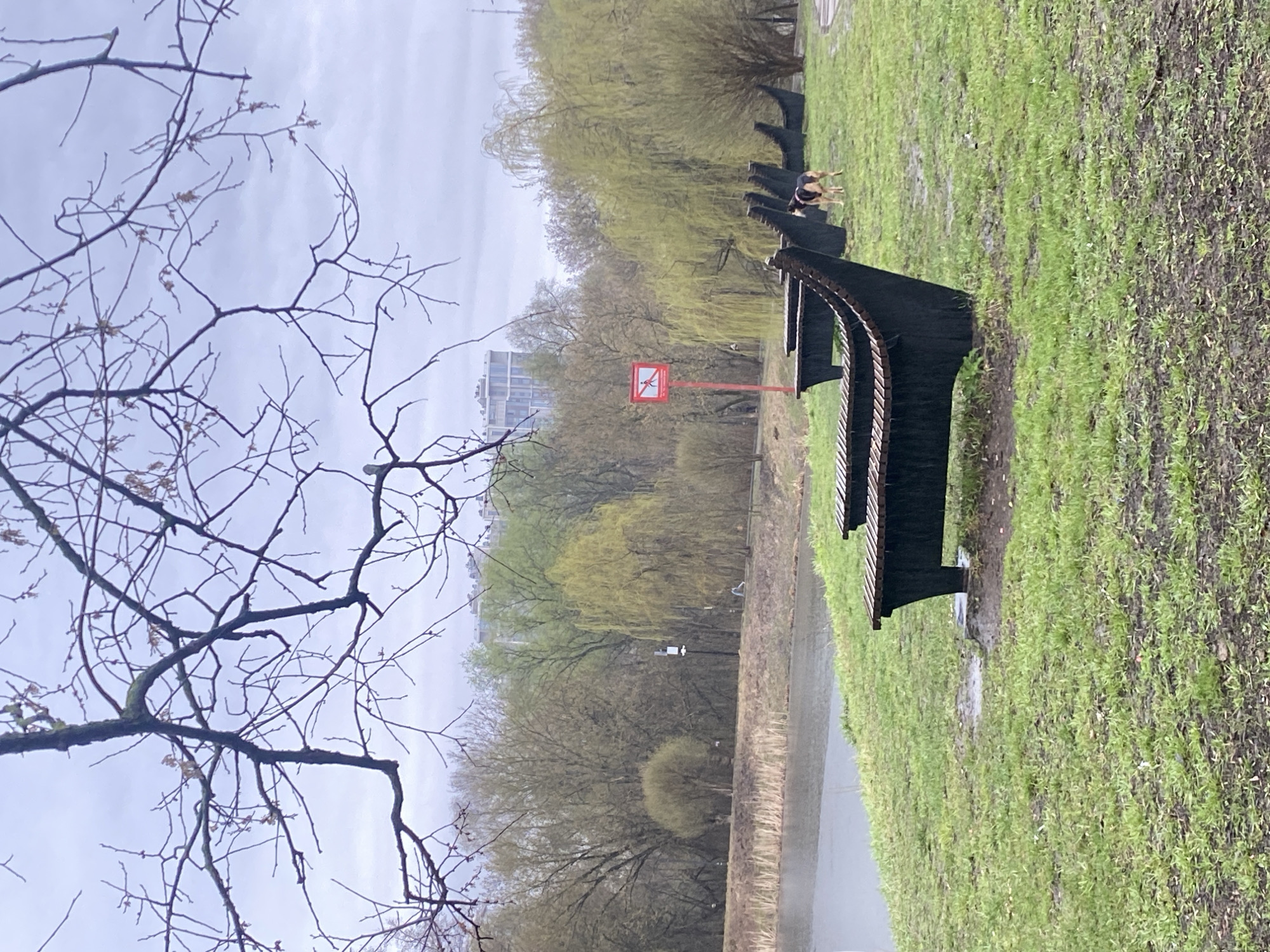 The image depicts a park in Moscow, Russia, on a cloudy day. A row of dark-colored benches lines a path along a body of water. The benches are positioned on a grassy area. A "no swimming" sign is visible in the background. Trees with bare branches are prominent in the foreground, suggesting early spring. A dog is visible in the distance. A building is visible behind the trees in the background. The ground is wet, and there is evidence of standing water.
