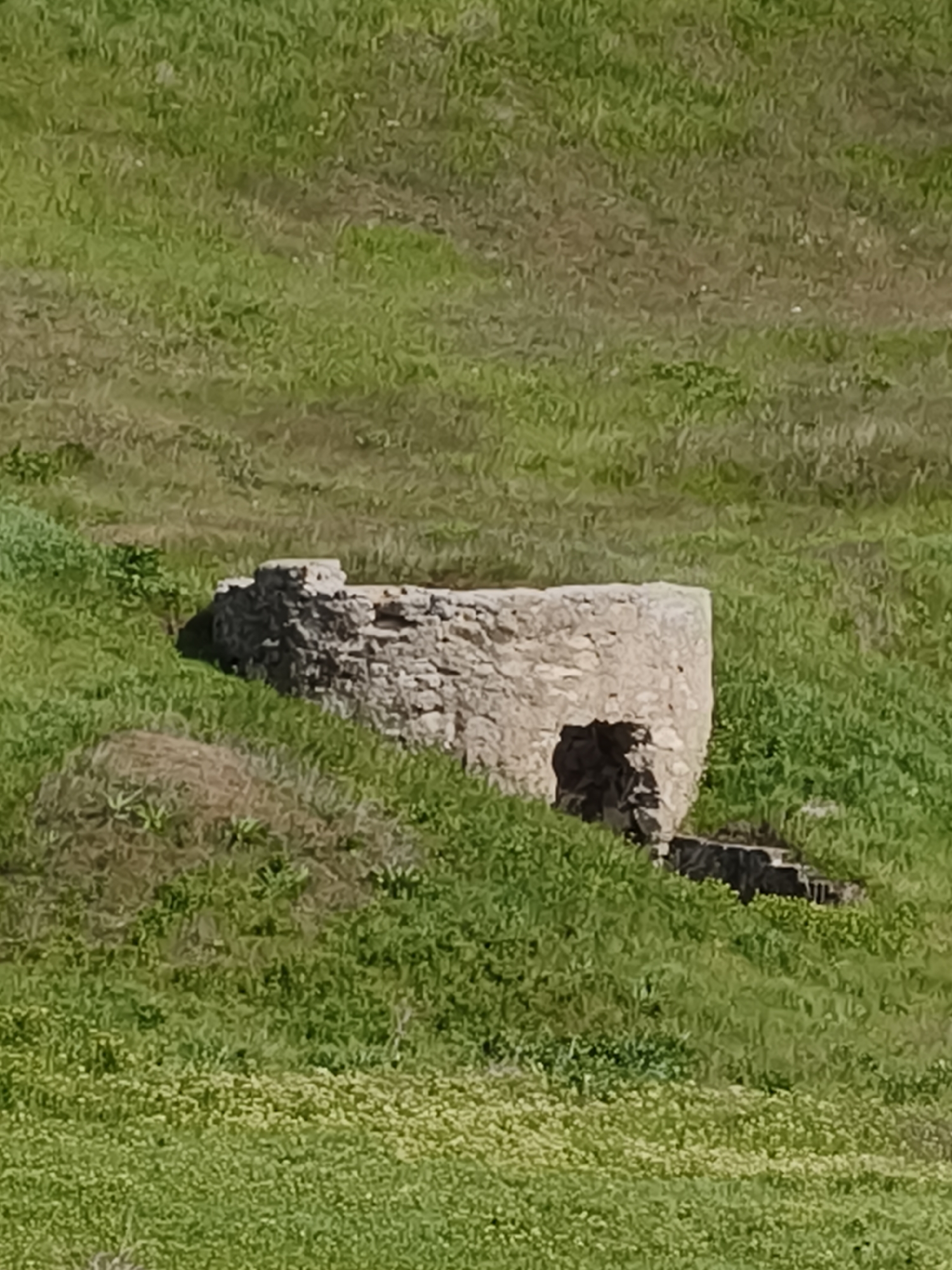 The image displays a rustic stone structure set against a vibrant green, grassy hillside in Inhulets, Ukraine. The structure, built from light-colored, rough-hewn stones, has a circular or semi-circular form, possibly serving as an old well or the foundation of a small building. A dark, shadowed opening is visible at its base on the right side, with darker stones resembling steps leading into or from it. The surrounding terrain is a gently sloping field of lush green grass, suggesting either spring or early summer. A patch of lighter, lower-growing vegetation, possibly small flowers, covers the ground in the foreground. The scene is bathed in bright, clear daylight, indicating a sunny day without any visible shadows that would suggest early morning or late afternoon. No people or specific activities are depicted. The overall impression is one of peaceful rural antiquity under a clear sky. No text is visible in the image.