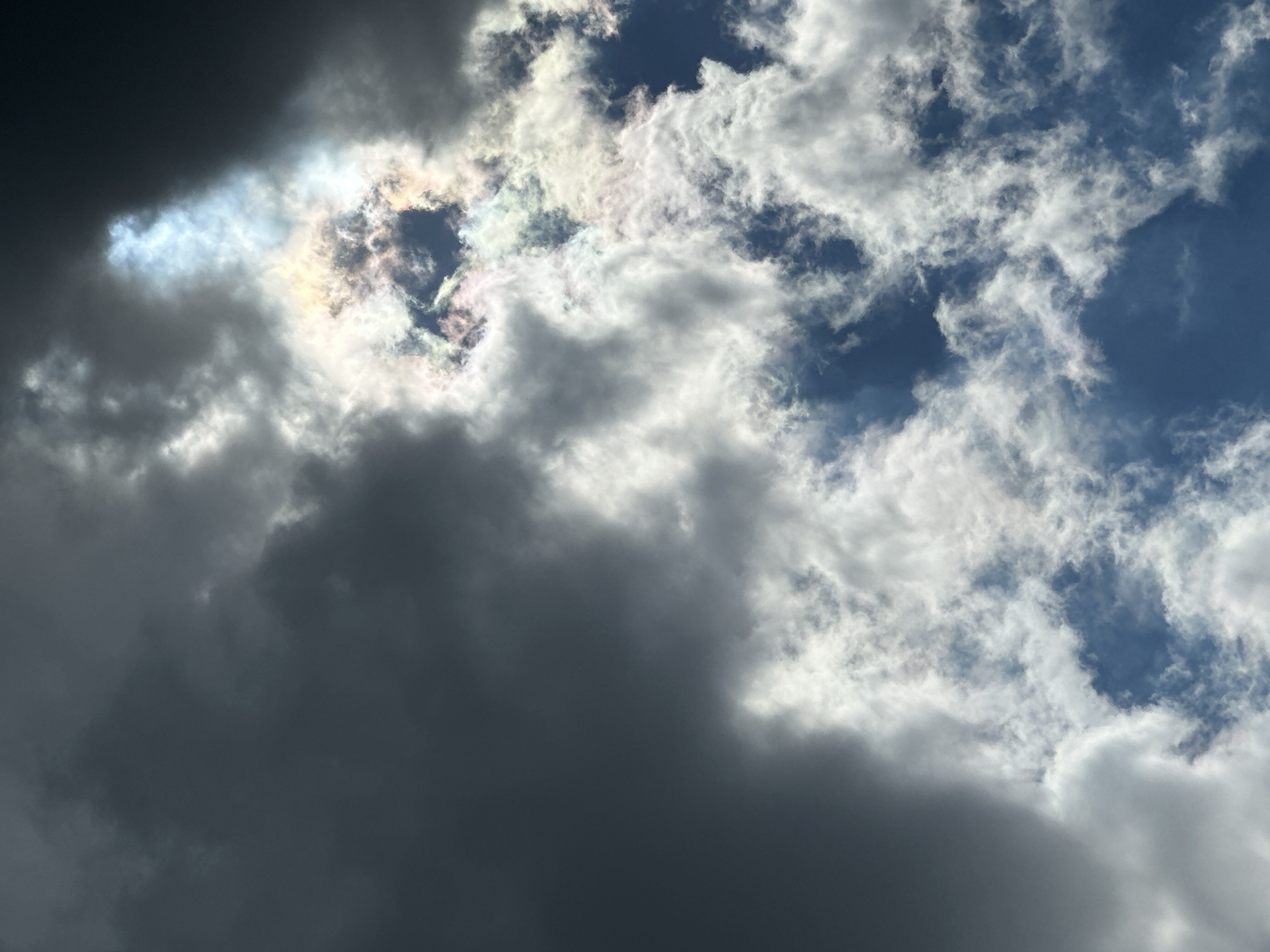 The image presents a detailed view of an atmospheric sky, with the specific geographical location being unknown. The scene features a complex arrangement of clouds under daylight conditions. A large mass of dark gray, dense clouds occupies the upper left quadrant and extends into the upper right. In contrast, the lower right quadrant and portions of the center display lighter, fragmented white clouds, interspersed with clear patches of deep blue sky. A notable phenomenon is centered in the upper-mid right, where strong sunlight interacts with a cloud formation, producing distinct cloud iridescence. This area is characterized by a bright, partially obscured light source and exhibits a spectrum of vibrant colors, including blues, greens, yellows, pinks, and purples. No ground features, structures, or individuals are visible within the frame.