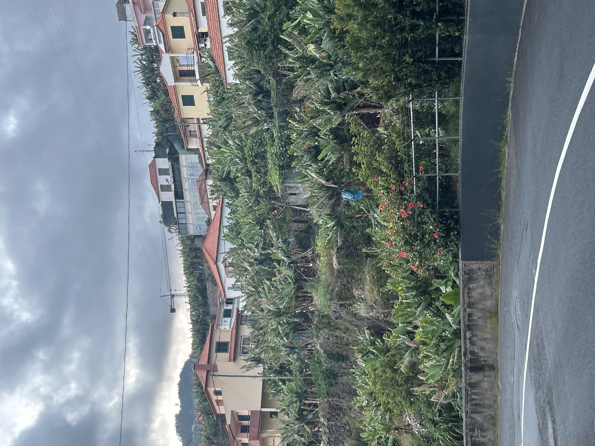 The image depicts a residential area in Câmara de Lobos, Portugal, characterized by houses with red-tiled roofs nestled among dense vegetation, likely banana trees. The sky is overcast. A road with a white painted line runs along the right side of the frame, separated from the lush greenery by a concrete retaining wall. Power lines are visible against the cloudy sky. A construction crane appears in the distance.