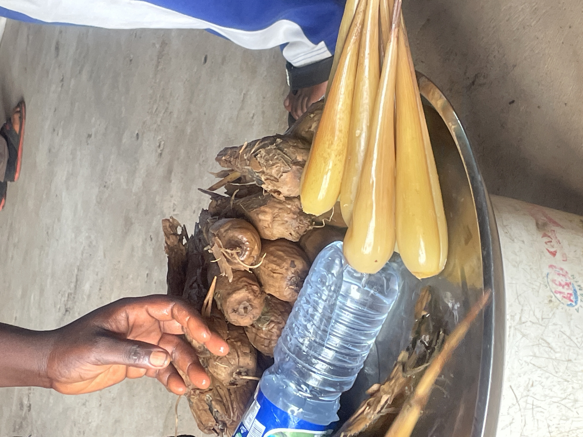 A close-up shot shows a pile of dried, brown root vegetables or tubers on a metal tray. A hand with dark skin is seen reaching for the pile, with fingers extended. To the left, a partially obscured plastic bottle of water with a blue label is also on the tray. In the foreground, several bright yellow, elongated objects, possibly fruit or vegetable stalks, are arranged. The background is a concrete surface, and the bottom of the image reveals the rim of a white container with some text and graphics. The scene appears to be outdoors in Gura Top, Nigeria, suggesting a market or food preparation setting.