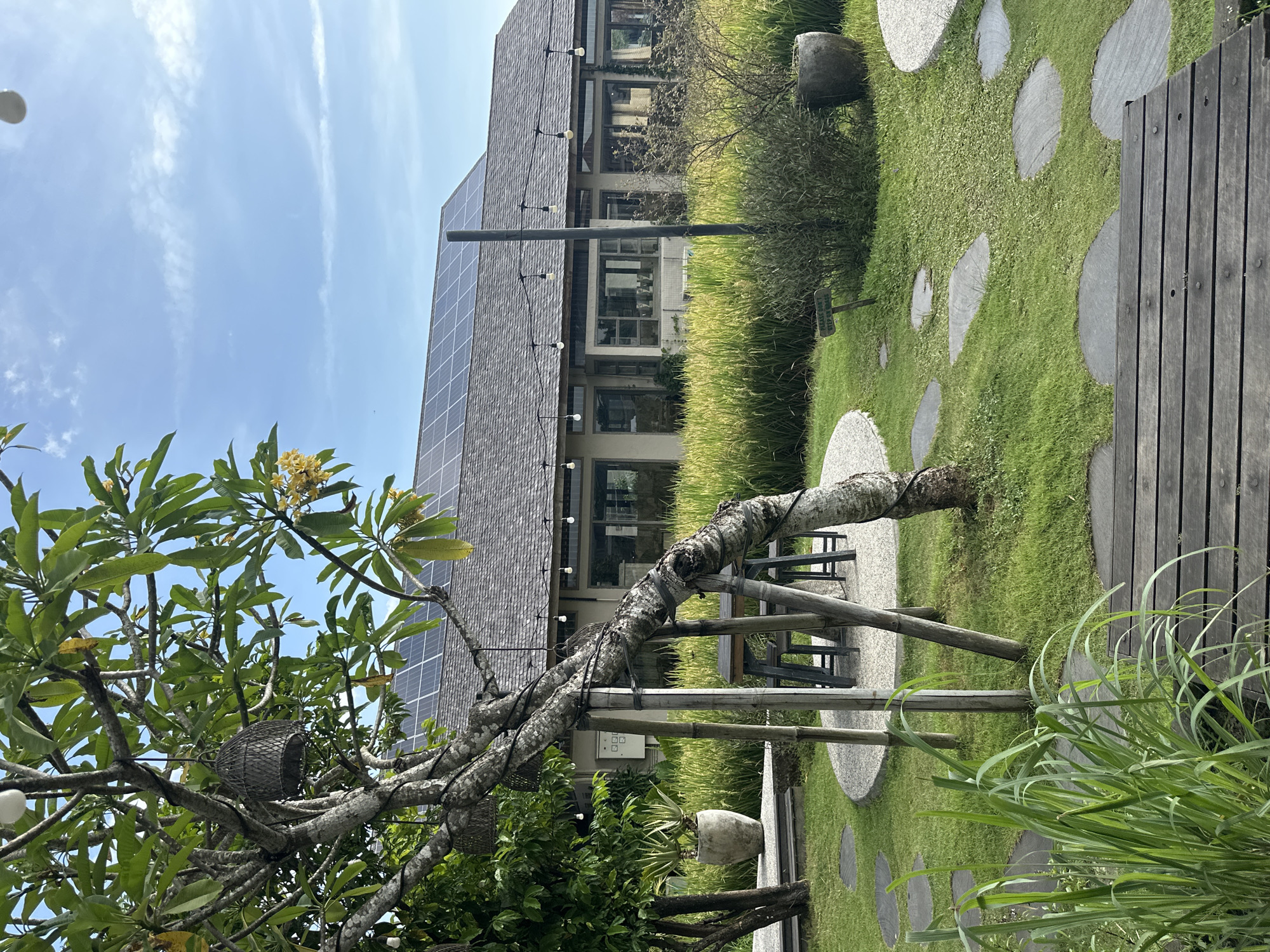 The image depicts an outdoor scene in North Kuta, Indonesia, on a sunny day. A building with a solar panel-covered roof is visible in the background. The foreground features a tree with a birdhouse-like structure hanging from its branches. A wooden fence runs along the right side of the frame, and stepping stones are laid across the grass. Benches and tables are seen near the tree, suggesting an outdoor seating area. Tall grasses and other vegetation are present, contributing to the garden-like setting.