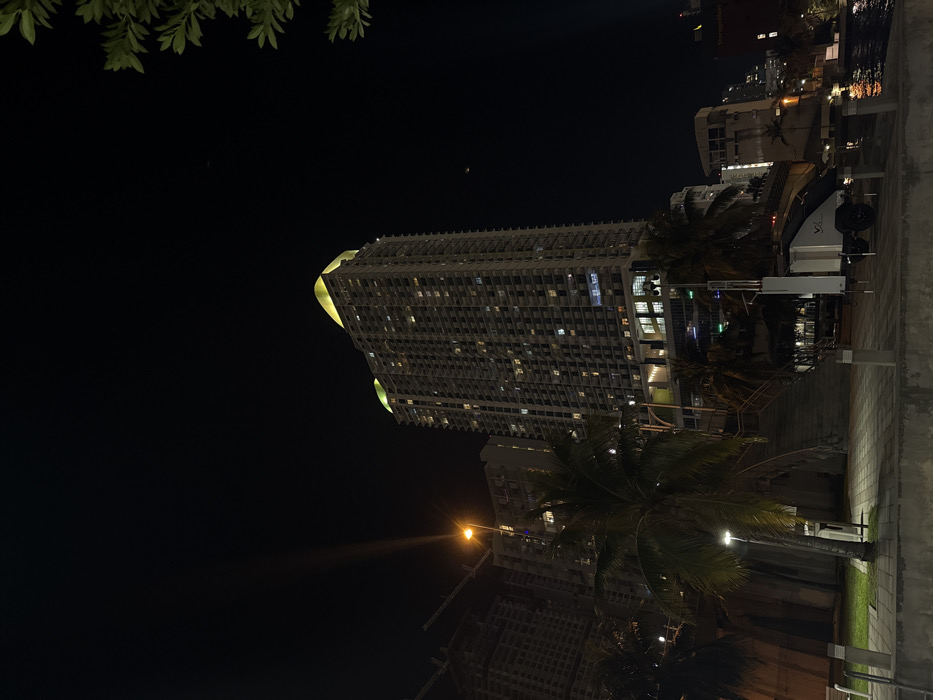 A tall building dominates the dark scene, illuminated with many lights. Palm trees stand in front of the building. A walkway is to the right of the image, with lighting fixtures and possible steps. Leaves appear at the top of the photo. Other buildings, lights, and structures appear in the background.