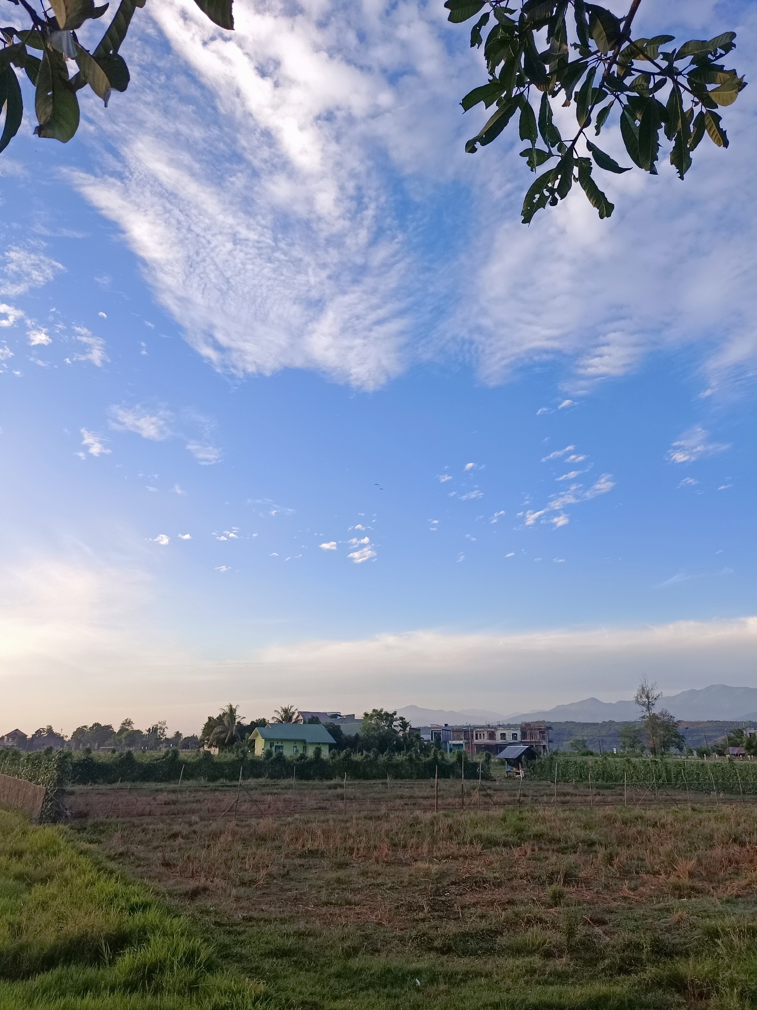 This is a vertical, medium-shot, outdoor photograph taken in Meunasah Raya, Indonesia. The scene depicts a rural landscape under a blue sky with scattered white clouds. In the foreground, there is a field of dry, patchy grass and vegetation, with a line of green grass along the left edge. A wire fence runs horizontally across the middle ground, separating the field from more cultivated land. Behind the fence, there are several buildings, including a green-roofed house and other structures, surrounded by trees and vegetation. In the distance, hazy mountains are visible on the horizon. The top of the frame is partially obscured by the leaves and branches of a tree, which are dark green and appear to be sunlit. The overall lighting suggests it is either early morning or late afternoon. There are no people or animals visible in the frame.