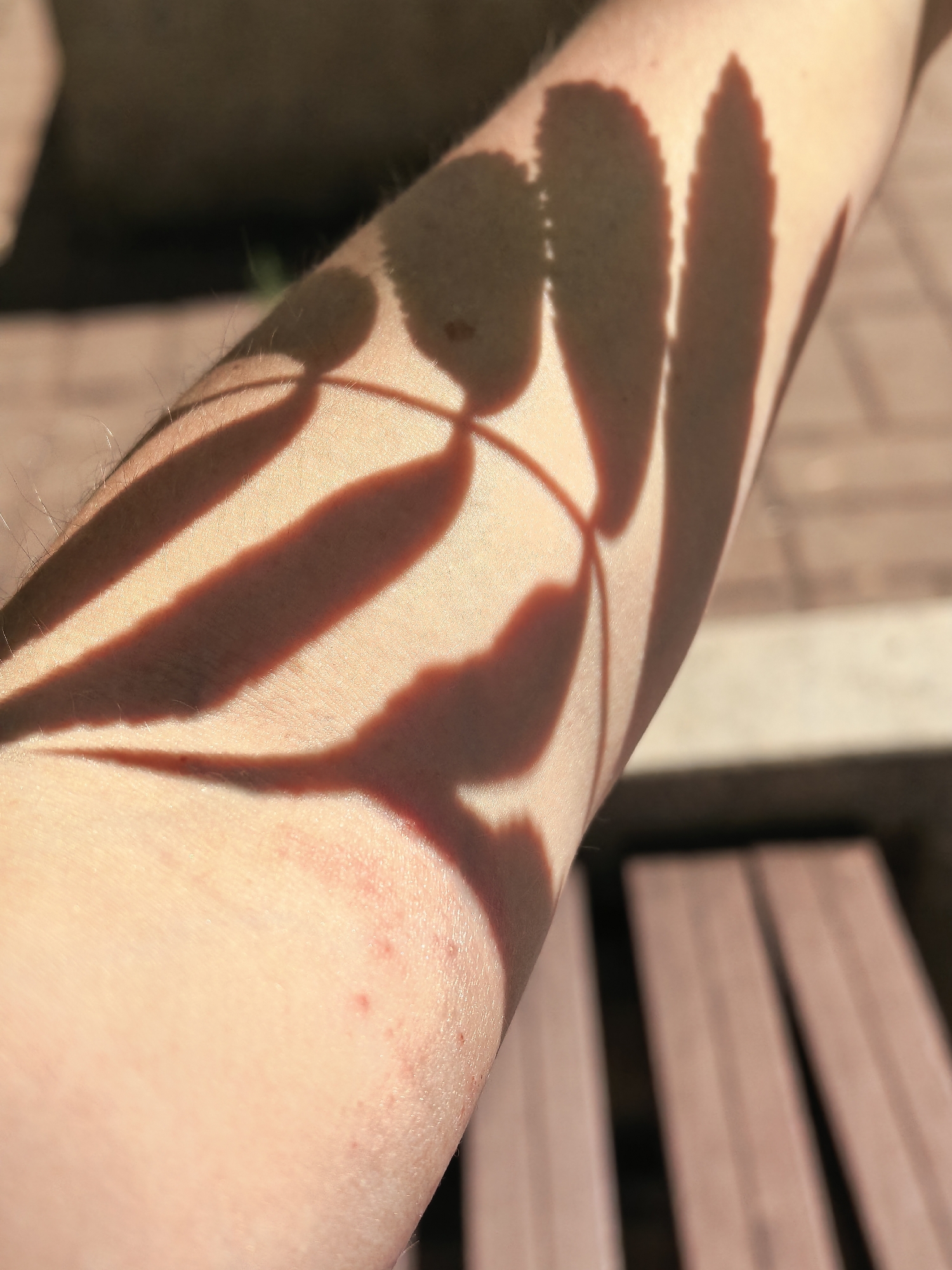 The image shows a close-up view of a person's arm, with shadows from leaves cast across it. The arm appears to be lightly tanned and has a few small red spots, possibly from a rash or irritation. Fine hairs are visible on the skin. The background is out of focus, but appears to be an outdoor setting with a paved surface and what looks like wooden slats of a bench. The lighting suggests it is daytime, likely sunny, given the distinct shadows. The location in Sterlitamak, Russia, cannot be determined from the visual information presented in the image.