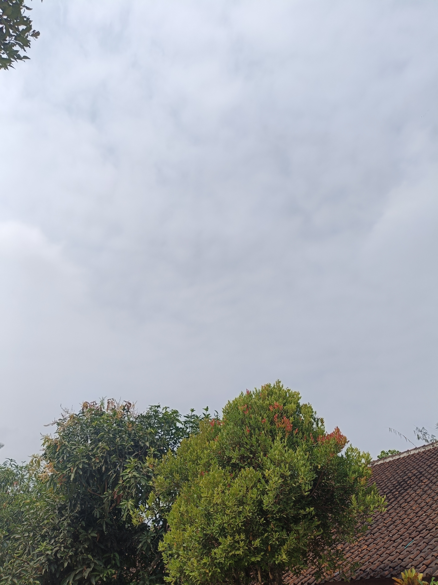 The image shows a cloudy sky over a residential area in Rancaseneng, Indonesia. In the foreground, there are several trees and a portion of a tiled roof. The trees are lush and green, with some showing hints of red foliage. The roof tiles are reddish-brown. The sky is overcast with diffused light, suggesting it might be a cloudy day or early morning/late afternoon. There are no people or visible signs of activity. The scene appears to be a still outdoor environment.