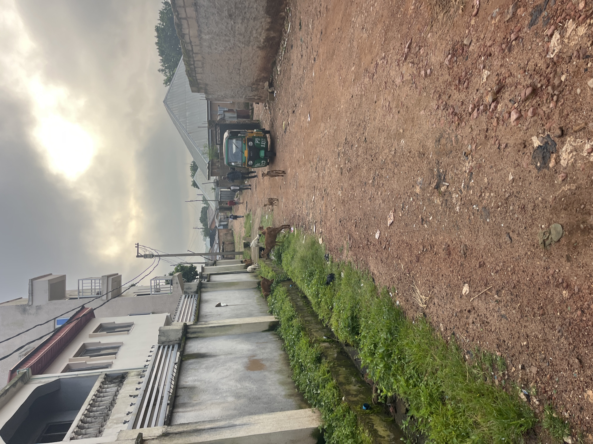 The image depicts a dirt road in Jos, Nigeria, with a clear sky and overcast conditions. The scene is characterized by a mixture of residential buildings and informal structures.
On the left side of the road, a multi-story building with balconies and a high concrete wall is visible, bordered by a drainage ditch filled with overgrown green vegetation. Several goats are present, some grazing in the ditch and others on the road.
The dirt road itself is uneven and shows signs of wear, with scattered debris. A green and yellow auto-rickshaw, commonly known as a "Keke Napep," is parked on the right side of the road, facing away from the viewer. Several individuals are walking on the road in the distance, some appearing to be going about their daily activities.
The overall impression is one of a developing urban environment with active street life and the presence of livestock. The architecture suggests a blend of modern construction and more traditional housing. The sky's bright, diffused light indicates daytime, possibly early morning or late afternoon.