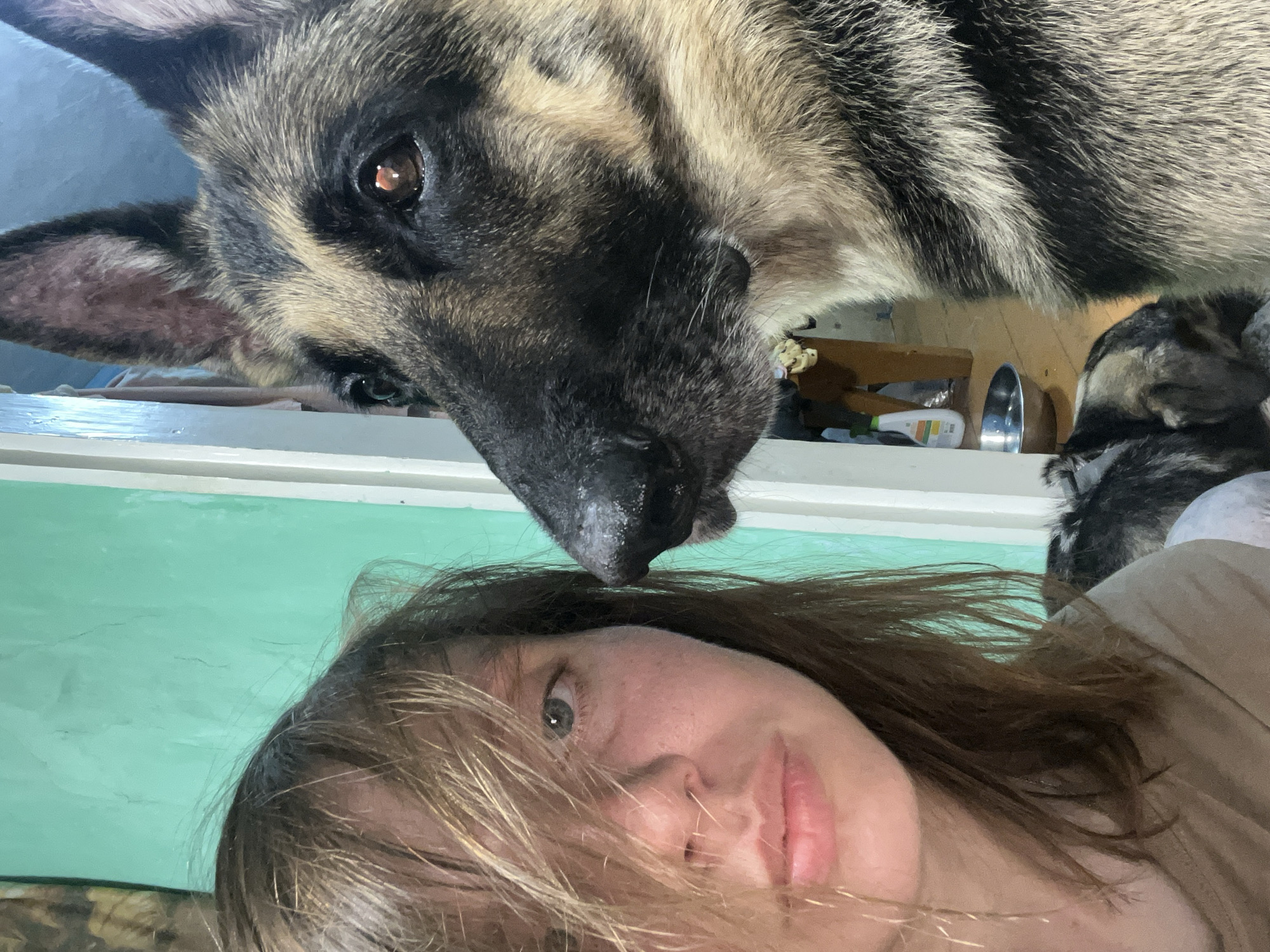 The image is a close-up selfie featuring a young woman and a German Shepherd dog. The woman is on the left, with her face partially obscured by her brown hair. She has light skin and is looking towards the camera. The dog is on the right, with its head and upper body visible. It is a German Shepherd with typical black and tan markings and is looking to the side. They are both indoors, with a turquoise wall visible behind the woman and a doorway in the background showing a room with wooden furniture and a dog bowl. The lighting appears to be natural, coming from a window or an open door. The overall impression is an informal snapshot of a person and their pet. There is no discernible indication of the specific location within Nizhny Tagil, Russia.