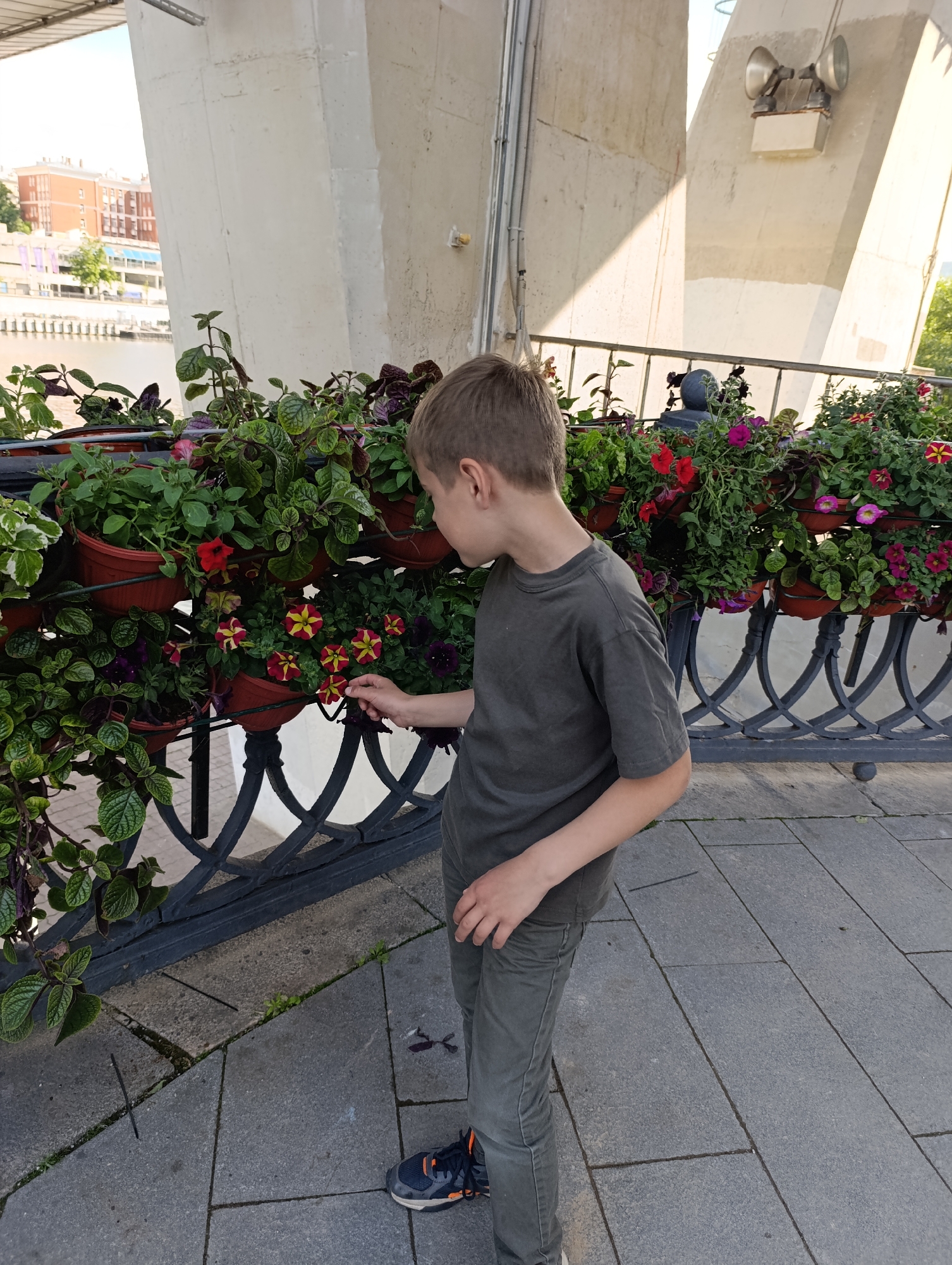 A young boy, seen from the side, stands next to a decorative metal railing adorned with multiple flower planters. He is wearing a dark grey t-shirt and grey trousers, with dark sneakers featuring orange accents. The boy's right hand is gently touching a red and yellow striped flower in one of the planters. His head is turned towards the flowers, suggesting curiosity or engagement with them.
The planters are arranged in two tiers along the black metal railing, which features intricate, looping designs. They are filled with various green plants and colorful flowers, including shades of red, pink, purple, and the distinct red and yellow striped variety. The ground beneath the boy's feet is paved with large, light grey square tiles.
In the background, a massive concrete structure, likely a pillar or support for a bridge, dominates the left side of the frame. Sunlight casts a bright glow on parts of this structure. Further back and to the left, glimpses of a body of water (possibly a river or canal) are visible, with buildings and trees lining the distant bank. On the right side of the concrete structure, a pair of speakers or lights are mounted. The scene appears to be set outdoors on a bright, sunny day, possibly in a public park or waterfront area. There is no visible text in the image.