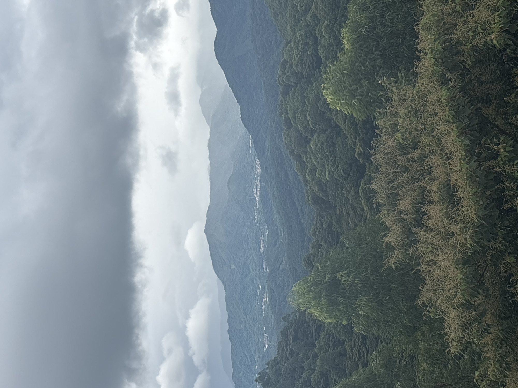 This is a landscape photograph taken in the city of Guangzhou, China, likely from a vantage point offering a panoramic view of rolling, densely forested hills. The sky is overcast with heavy, gray clouds, suggesting a potentially rainy or misty day.
In the foreground, there are lush green trees, with some appearing to be flowering or seeding, displaying a lighter, feathery texture. Behind the immediate foliage, the landscape recedes into layers of hills covered in a deep green canopy of trees. Further in the distance, the hills become more muted in color, gradually fading into a bluish haze, indicating atmospheric perspective. A small cluster of buildings, appearing as a village or town, is visible nestled in a valley between the distant mountain ranges.
The overall impression is one of natural beauty and tranquility, with a slightly somber mood due to the cloudy sky. There are no people or man-made structures apart from the distant village. The environment is dominated by vegetation and topography.
