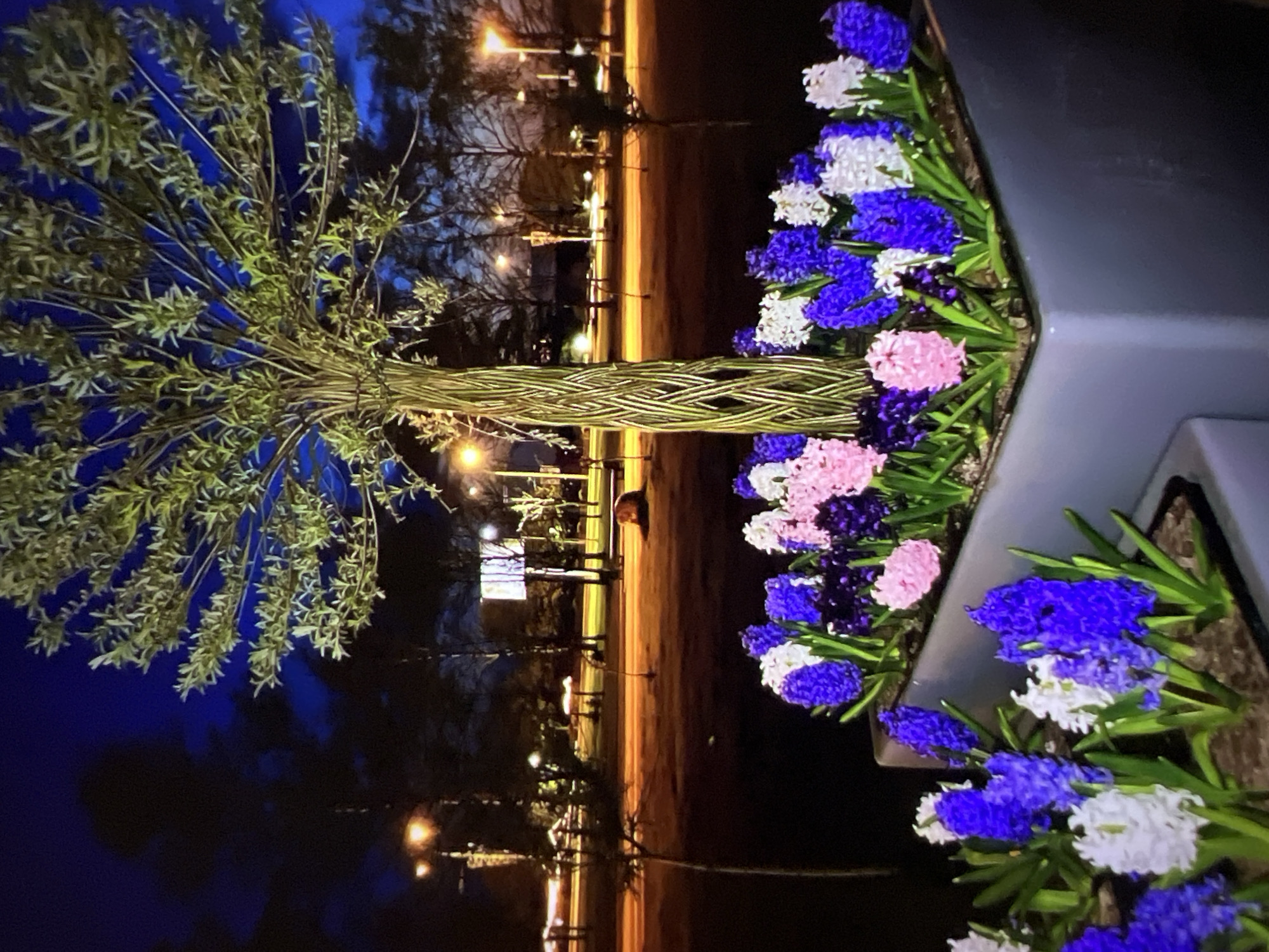 At night, a scene unfolds in a city park in Minsk, Belarus, featuring a large, modern planter filled with blooming hyacinths in shades of blue, purple, pink, and white. Behind the flowers, a tree with a uniquely woven, braided trunk stands tall, its branches reaching towards the dark blue night sky. The background reveals a park-like setting with streetlights illuminating pathways and trees, some of which are bare-branched. In the distance, a few figures are visible, and there is a reddish-brown object that appears to be a bench or a piece of playground equipment, bathed in the warm glow of the park lights. The overall atmosphere is serene and picturesque, showcasing a well-maintained urban green space.