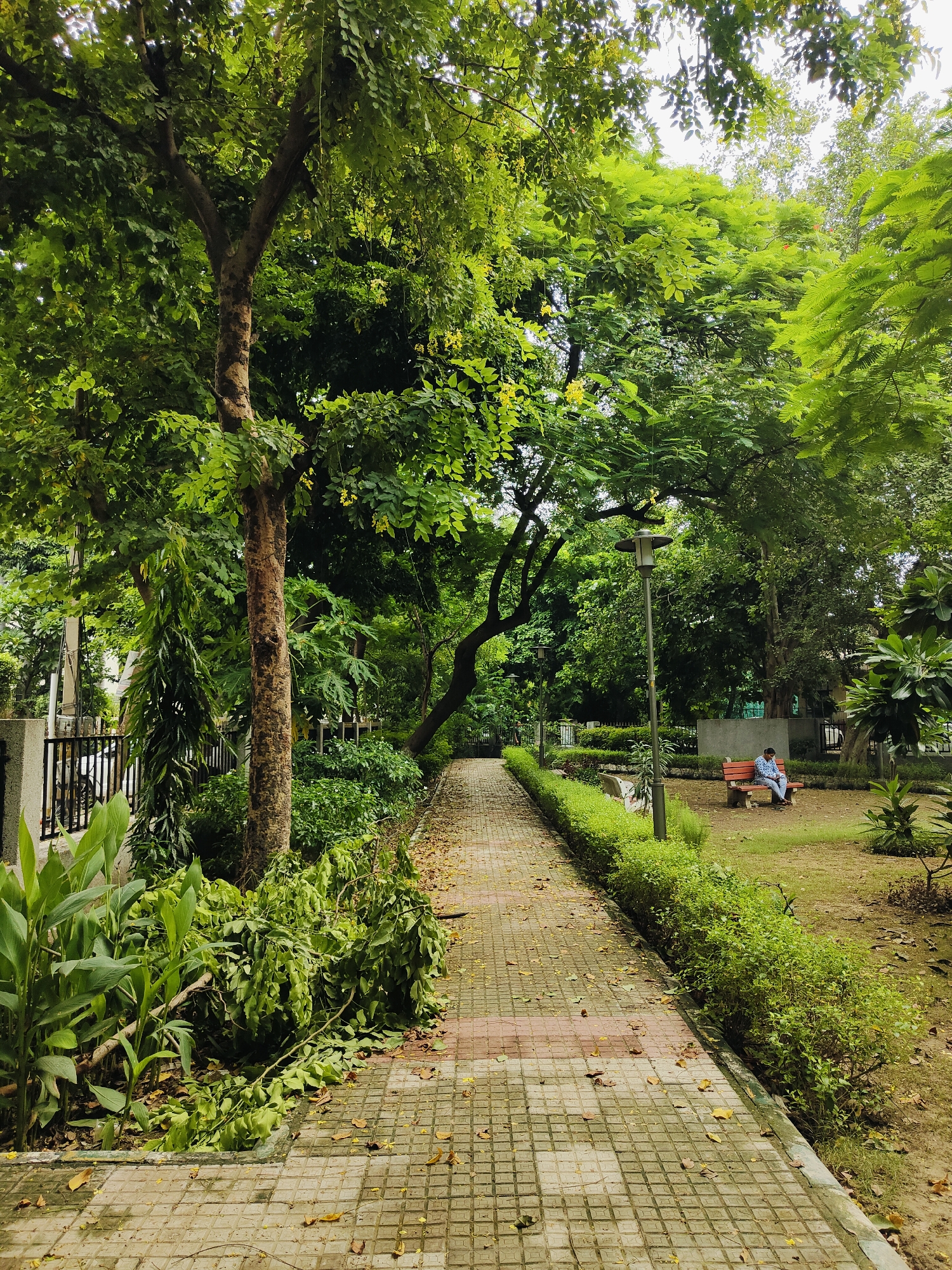 This image depicts a well-maintained park pathway in Gurgaon, India, with lush green trees and manicured hedges lining the walkway. The path is paved with square tiles in a grid pattern, with a single, light-colored tile at the center of each square. Fallen leaves, predominantly yellow, are scattered across the path and the surrounding grassy areas, suggesting a recent shedding or collection of foliage. To the left of the path, a black metal fence encloses a private area, with a large tree trunk prominently featured in the foreground. To the right, a red bench is occupied by a person wearing a blue shirt and dark pants, who appears to be looking down at their phone. Several street lamps are visible along the pathway, and the overall atmosphere is serene and natural.