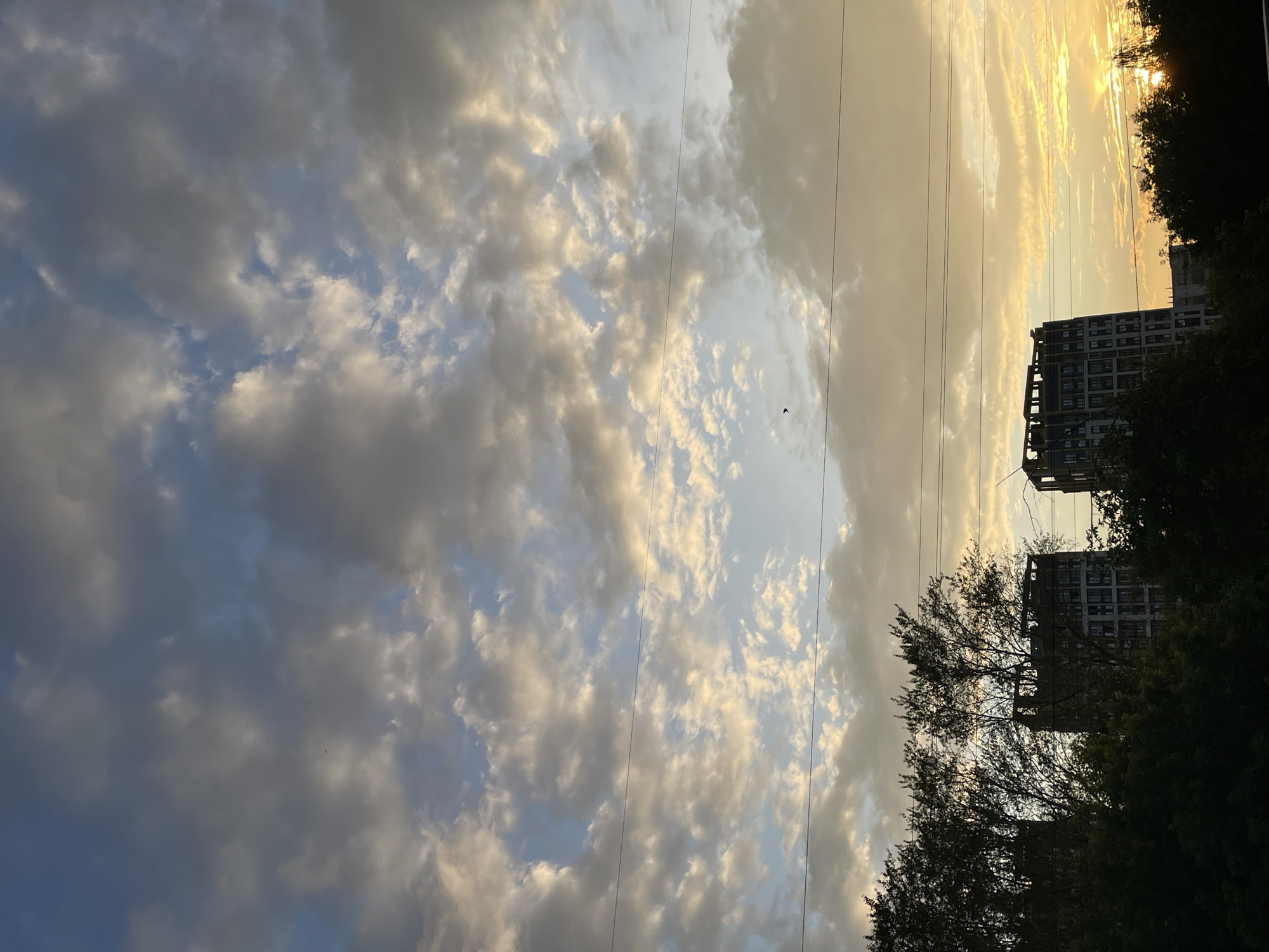 The image captures a view of two tall, modern apartment buildings under a cloudy sky during what appears to be either sunrise or sunset. The sky is filled with a mix of gray and light yellow clouds, with patches of blue visible. Two parallel power lines stretch horizontally across the frame. In the foreground, the silhouettes of dark green trees and foliage partially obscure the lower portions of the buildings and the ground. The overall lighting suggests a natural outdoor setting in an urban or suburban environment.