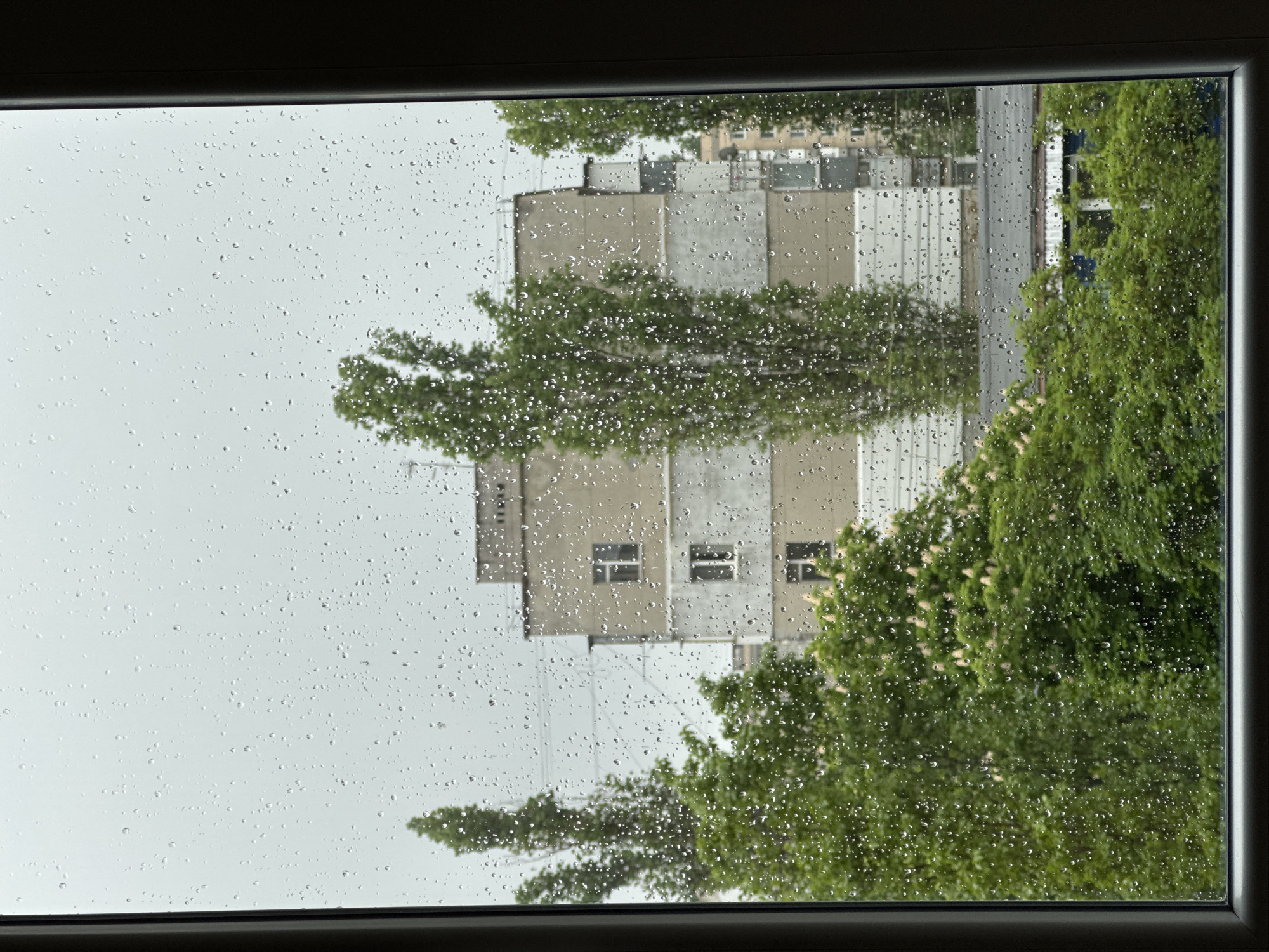 A view from a window on a rainy day. Outside the window, there is a building with multiple windows, partially obscured by trees and bushes. The city location is Unknown, Unknown. Raindrops cover the windowpane.