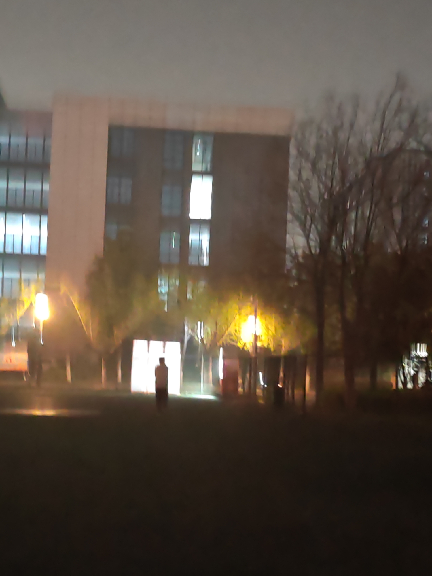 The image depicts an outdoor scene at night. A building with multiple illuminated windows is visible in the background, along with trees. A person is standing in front of the building. Streetlights are illuminated, casting light onto the scene. Based on the prompt, the location is likely Jiangning District, China.