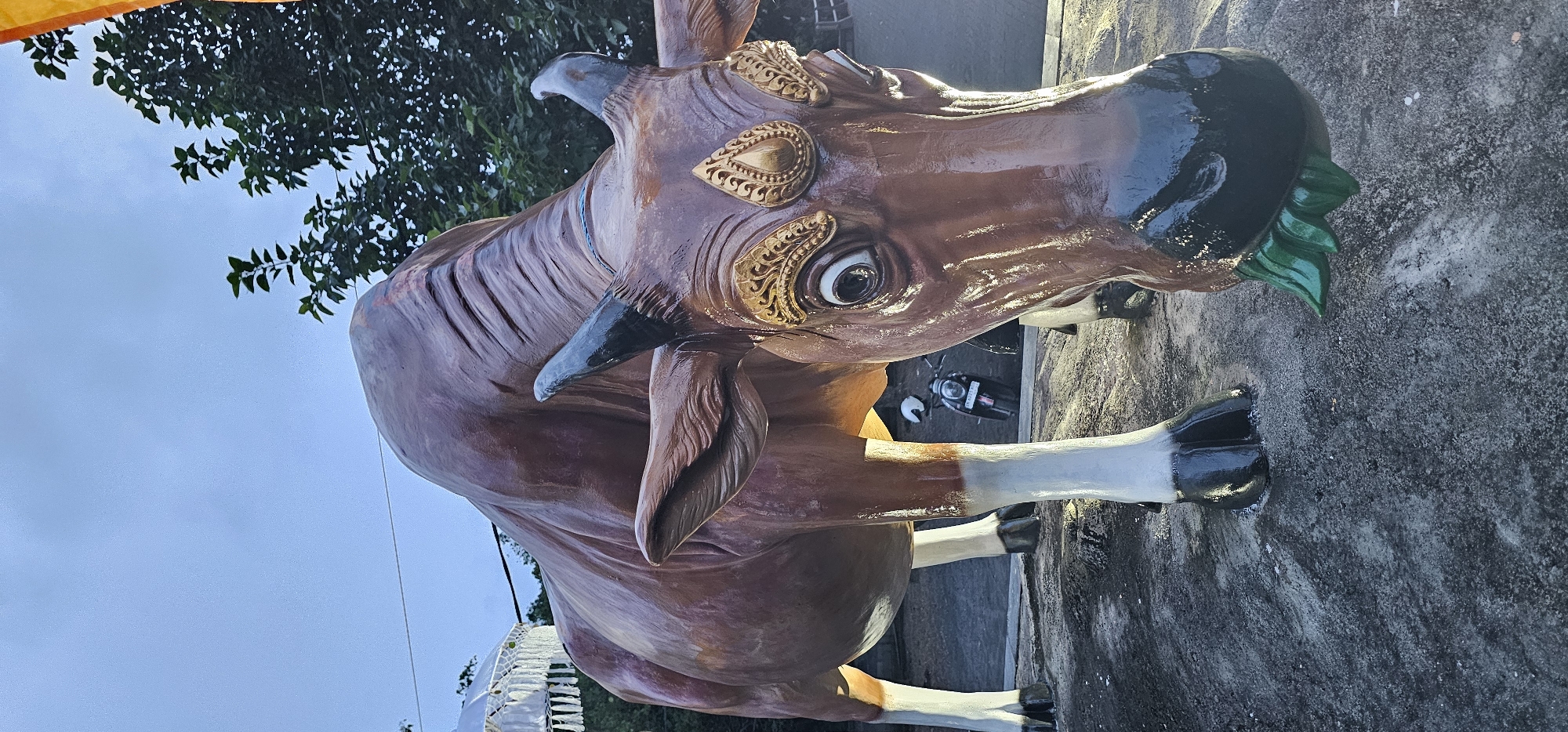 A large, ornately decorated statue of a cow or bull stands prominently outdoors under a clear, light blue sky. The statue is primarily brown, with darker brown or black coloration on its snout, short horns, and hooves. Its lower legs are painted white or light gray. Striking golden, intricately patterned decorations adorn the areas around its large, expressive eyes and on its forehead. The statue appears to be holding or chewing green foliage in its mouth.
In the upper part of the image, dark green leaves from a tree are visible against the sky. The statue rests on a dark, textured ground surface, which resembles concrete or asphalt. Behind the statue's legs, a dark-colored motorcycle or scooter with a white helmet is partially visible. Hints of a yellow fabric or banner are at the very top, and a white, possibly decorative, structure is glimpsed in the lower left, suggesting a public space or event.
The scene is illuminated by natural daylight, indicating it is daytime, likely morning or late afternoon. The detailed craftsmanship and cultural embellishments on the cow statue are notable, consistent with a setting in Denpasar, Indonesia, where such artistic displays are often part of local traditions or festivities. No visible text is present in the image.