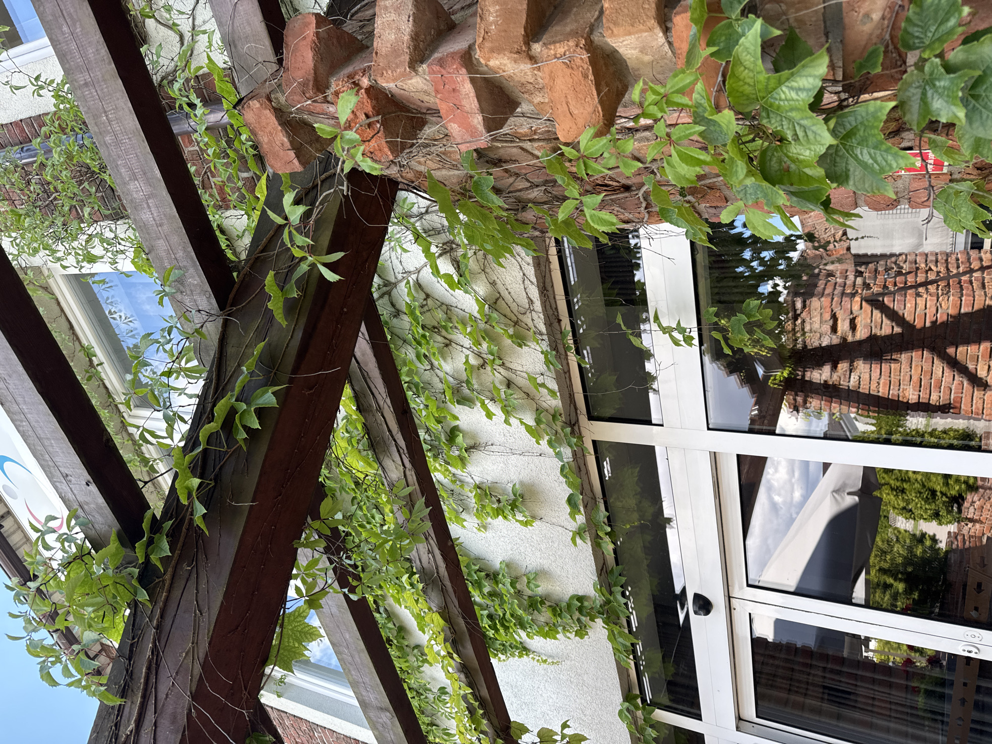 This image, taken in Duszniki, Poland, shows an exterior view of a building with a wooden pergola covered in green ivy. The pergola's dark brown wooden beams are visible, with ivy vines trailing over them and down the white stucco wall of the building. To the right, a textured brick pillar is partially obscured by the ivy. Below the pergola, large glass doors with white frames suggest an entrance. Reflections of the sky, trees, and an outdoor umbrella are visible in the glass. A security camera is mounted above the doors. The scene appears to be a sunny day.