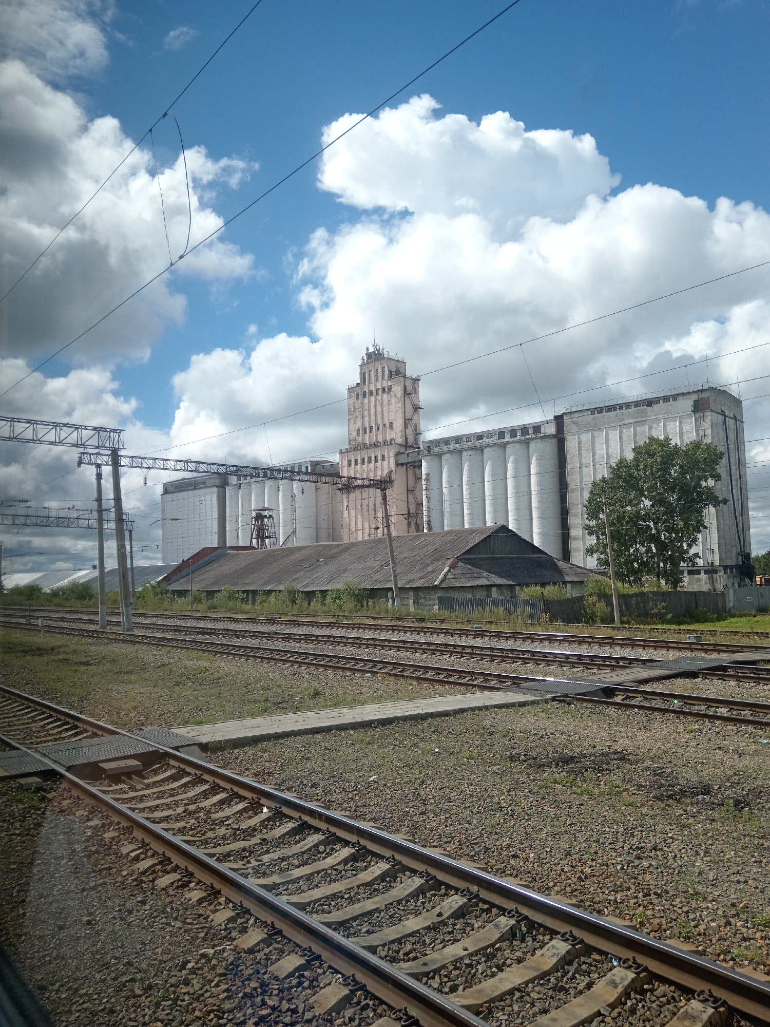 The image depicts a panoramic view of a railway yard adjacent to an industrial complex, likely a grain elevator, under a bright blue sky with scattered white clouds. In the foreground, multiple sets of parallel railway tracks stretch across the frame, their gravel beds and concrete sleepers clearly visible. The tracks converge and diverge, indicating a busy junction. In the middle ground, a long, low-slung warehouse with a weathered, grey roof sits behind a fence. To the right of this warehouse, a large, cylindrical silo structure, painted white, dominates the scene. Further to the right, a tall, multi-story building with a light-colored facade, possibly part of the same industrial complex, stands tall. A mature green tree is situated between the silo and the tall building. Overhead, a network of power lines and supporting structures for the railway infrastructure crisscross the sky. The overall environment suggests an industrial zone associated with transportation and storage, likely in a rural or semi-urban setting like Екатеринославка, Russia. There are no people visible in the image.