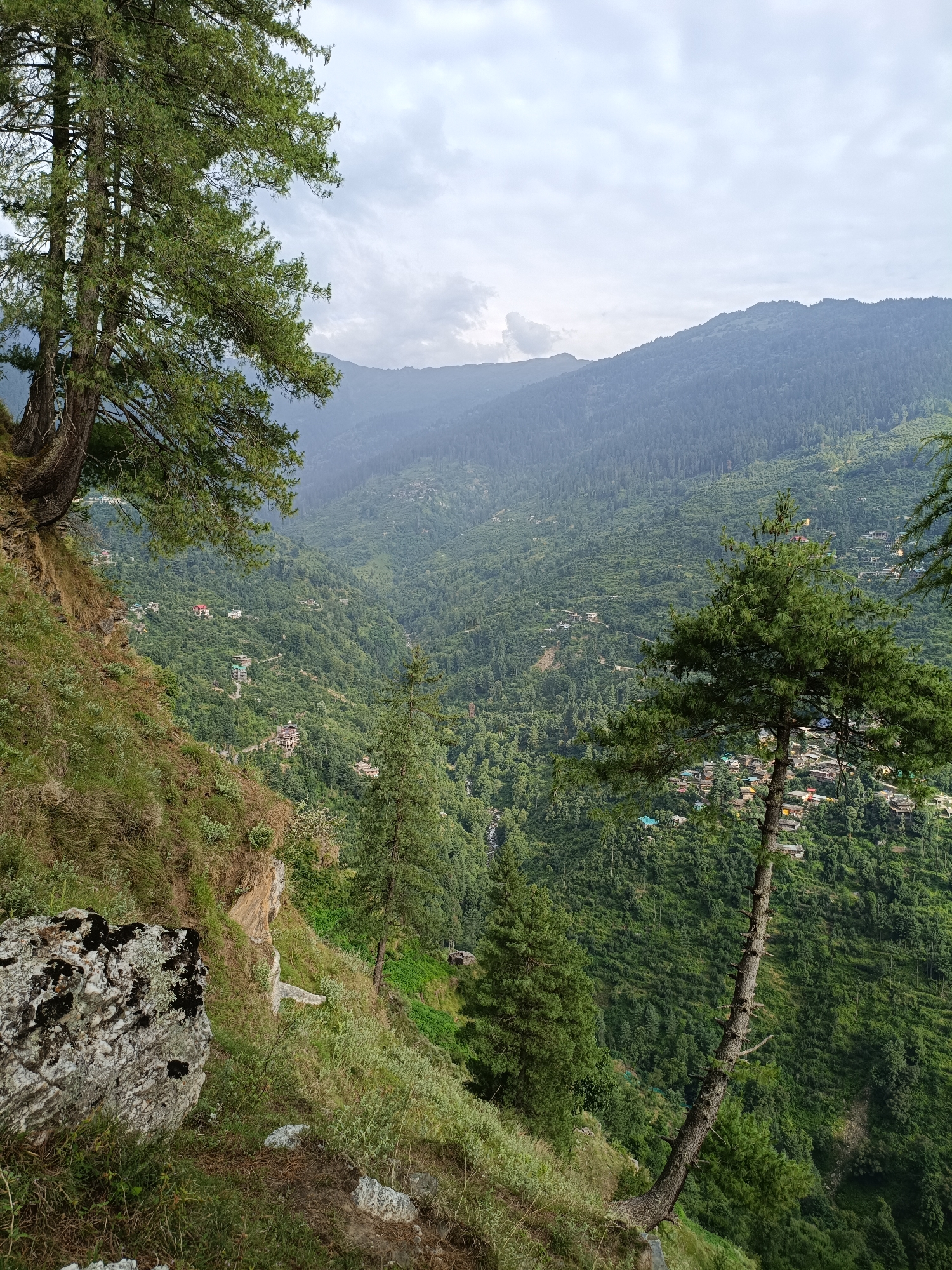 This image depicts a panoramic view of a verdant valley from a steep, grassy incline on a cloudy day. In the foreground, a large, weathered rock with patches of moss sits on the left. To its right, a slope covered in green grass and scattered smaller rocks leads down towards the valley. Several pine trees are visible, with one large, mature tree on the far left, its branches reaching towards the sky. Another slender, leaning pine tree stands prominently in the mid-ground, its trunk curved as it grows out of the hillside.
The valley itself is densely forested with lush green trees, dotted with numerous small houses and buildings with colorful roofs, suggesting a populated village or town nestled within the landscape. Roads and pathways wind through the settlement, visible amidst the trees. In the distance, rolling mountains, also covered in trees, recede into a hazy horizon under a cloudy, overcast sky. The scene appears to be a natural landscape with human settlement integrated into it. The location is identified as Chhaki, India.