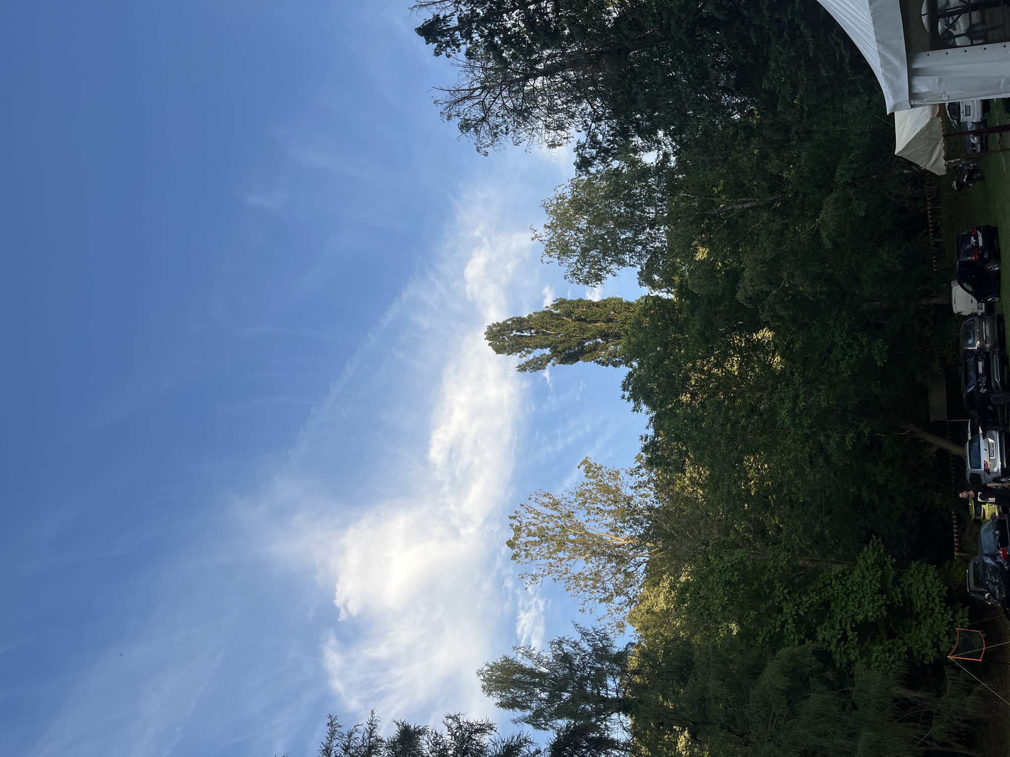 The image depicts an outdoor scene in Sremski Karlovci Municipality, Serbia, at the edge of a dense forest under a partly cloudy blue sky. The upper portion of the frame is dominated by a clear blue sky with white, wispy cirrus clouds, including a prominent, brighter cloud formation positioned towards the left. The lower half and sides of the image are filled with a variety of green trees, appearing as a dense forest line. Notable tree types include a tall, slender, columnar tree on the left-center, and a mix of broadleaf and coniferous trees with varying shades of green foliage.
At the bottom of the frame, a grassy area functions as an event space or parking lot. Several vehicles are parked on the grass, including dark-colored SUVs and sedans, and at least one light-colored SUV. On the far right, two tents are visible: a prominent white event tent in the foreground and a smaller, cream-colored tent behind it. A string of triangular bunting flags is strung across the background, visible above the parked cars and in front of the trees, suggesting an ongoing event or celebration. On the far left, a small orange-framed net, possibly for volleyball or badminton, is set up on the grass. One individual, appearing to be an adult male in a light-colored top, stands near a silver SUV in the lower-middle section of the image. The lighting indicates daytime conditions, possibly late afternoon, with sunlight illuminating some tree canopies while others remain in shadow.