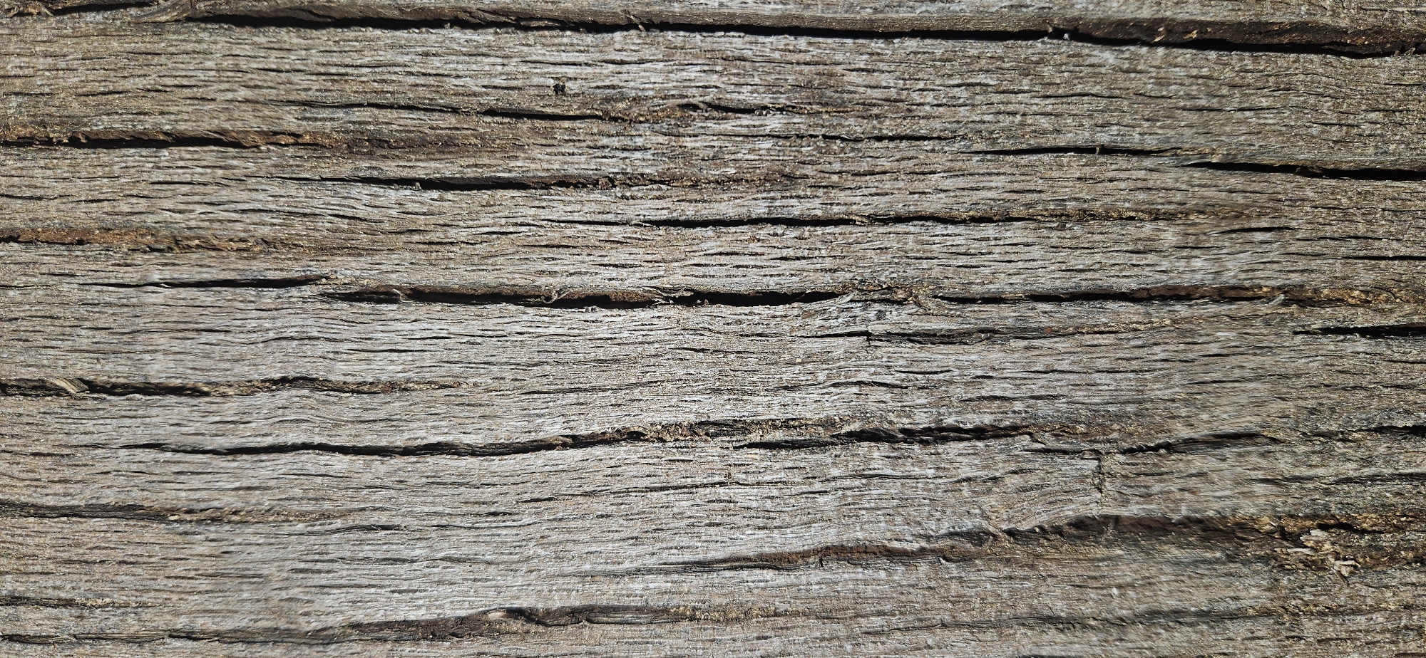 A vertically oriented, close-up forensic examination of tree bark, situated in Gutsal, Bulgaria. The surface is characterized by prominent, deeply fissured, and irregular vertical ridges and grooves, indicative of aged and weathered organic material. The coloration is primarily a desaturated greyish-brown, with variations including lighter ash tones on raised surfaces and darker, earthy brown hues within the recesses and deeper cracks. Individual fibers are visible within the splits and along the edges of the bark plates, contributing to a coarse and rugged texture. Natural lighting from an unspecified direction highlights the three-dimensional relief, casting subtle shadows that emphasize depth. No people, other subjects, objects beyond the bark, actions, or interactions are present or discernible within the frame. The immediate environment is limited to this natural texture.