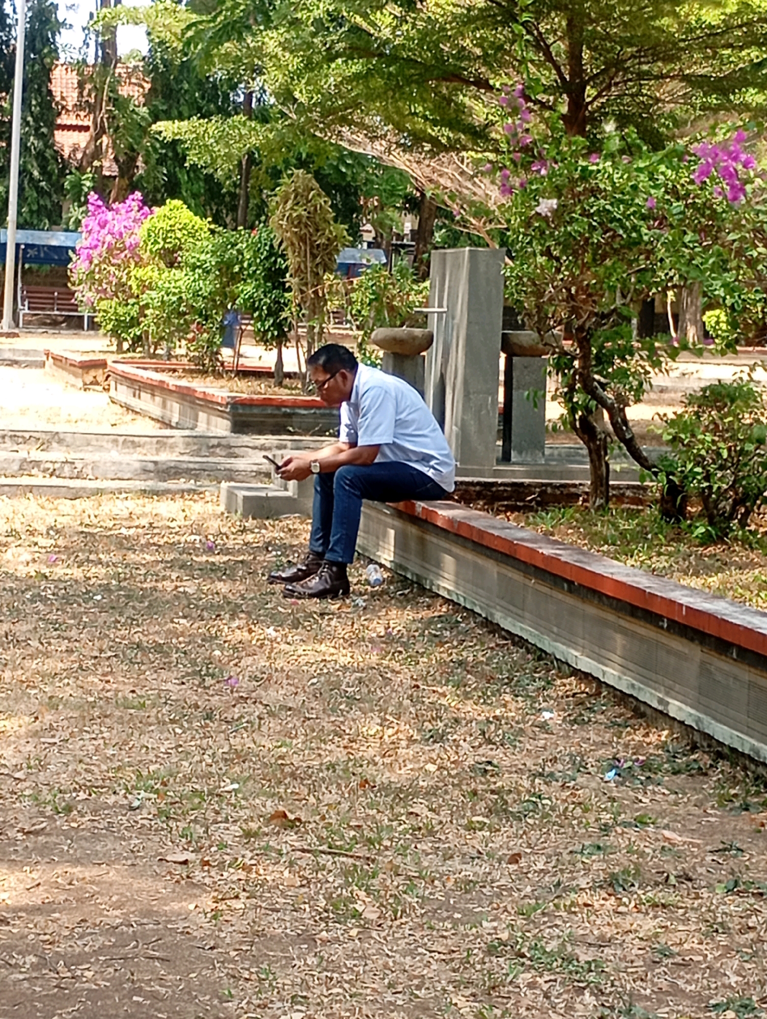 A man sits on a concrete ledge outdoors, looking at his phone. He is wearing a light blue collared shirt, dark blue jeans, and brown shoes. The man is right-handed and is holding his phone in his right hand. He is sitting with his legs crossed. The ledge he is sitting on is a low, long, L-shaped structure that runs along a grassy area dotted with dry leaves. Behind the man, there is a concrete planter with a tree and pink flowers. Further in the background are more trees, some with lush green foliage and others with more sparse leaves. There are also some buildings visible in the background, and a light pole. The ground in front of the ledge is covered in dry leaves and sparse grass. The scene appears to be a park or public outdoor space. It is daytime, and the sun is casting shadows.