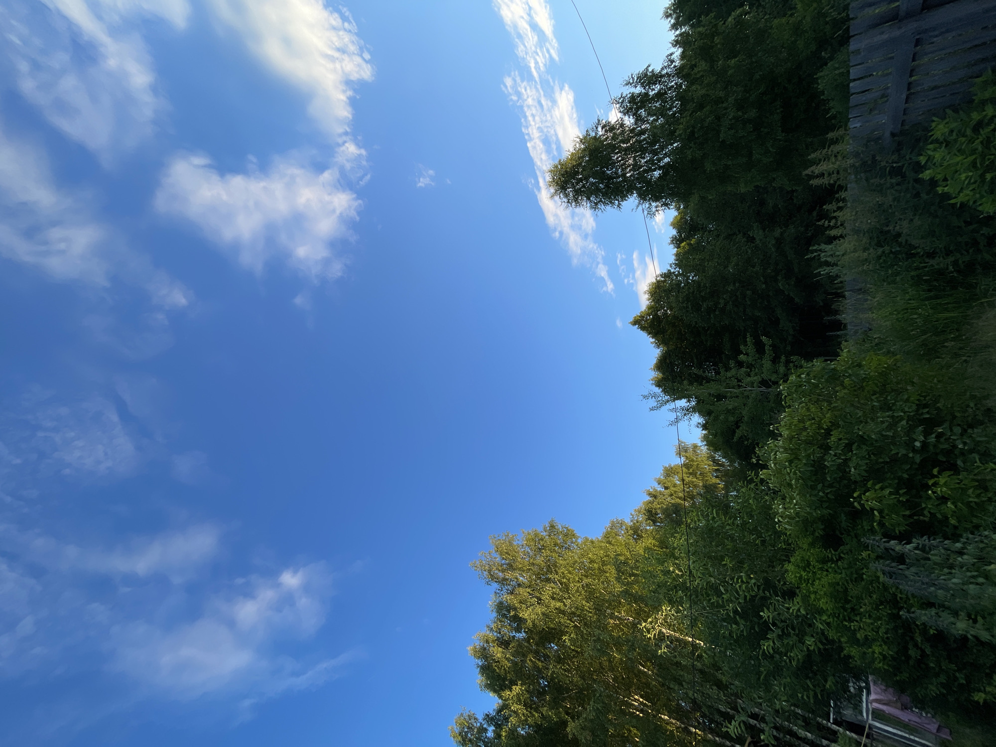 This is a low-angle, vertical shot of a clear blue sky with scattered white clouds, overhung by the lush green canopy of trees. On the right side of the image, a wooden fence or structure is visible, with dense foliage growing around and beyond it. The trees appear to be deciduous, with their leaves illuminated by the sun, suggesting it is daytime. The scene evokes a sense of peacefulness and natural beauty. There is a thin wire running diagonally across the upper portion of the sky. The location is identified as Zarechny, Russia.