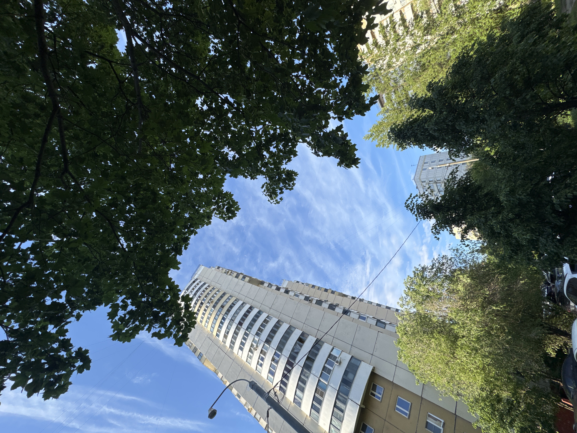 Looking upwards, the view is framed by trees with lush green foliage, partially obscuring a blue sky with wispy clouds. Dominating the center is a tall, off-white apartment building with multiple rows of windows. A street lamp is visible in the lower center. The setting appears to be a city street in Moscow, Russia, based on the architectural style of the building. There are no people visible in the frame.