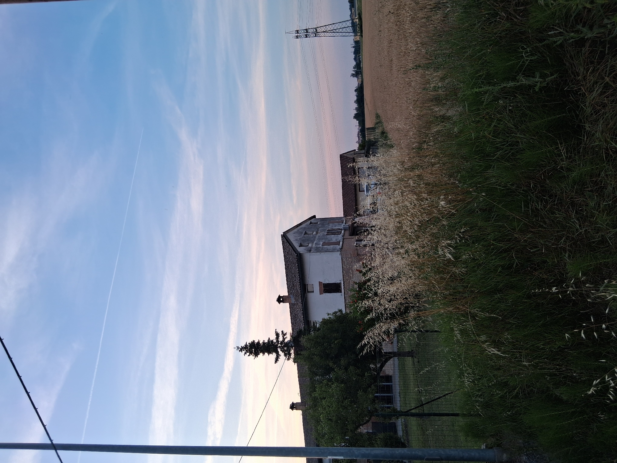 This photograph depicts a rural landscape near Colorno, Italy, at either dawn or dusk. The sky, occupying the upper two-thirds of the image, displays a gradient of light blue at the zenith transitioning to soft pink and orange hues near the horizon, indicative of crepuscular light. Wispy clouds are distributed across the sky, with a prominent, linear white contrail stretching horizontally across the upper-mid portion.
In the immediate foreground on the left, a gray utility pole extends vertically, partially cropped, with a thin dark wire visible extending diagonally downwards. The lower portion of the foreground is characterized by dense, varied vegetation, including dark green grasses and lighter, dry, feathery stalks that appear bleached or sun-dried. A dark green wire fence runs horizontally through this vegetation in the lower-left quadrant.
The midground features a two-story building, likely a farmhouse, with a light-colored (possibly off-white or cream) upper facade and a darker, textured lower section. It possesses a dark tiled roof, two visible chimneys, and multiple windows, some fitted with closed dark shutters. A tall, slender evergreen tree stands behind the building, its apex rising above the roofline. To the left of the main building, a smaller deciduous tree with green foliage is enclosed within the fenced area.
To the right of the building, a vast, flat field of golden-brown, mature grain (likely wheat) extends towards the horizon. In the mid-distance on the right, a large, dark green metallic lattice-work electricity transmission tower (pylon) stands prominently within or adjacent to the field. Several power lines emanate horizontally from this tower, traversing the landscape. The background beyond the grain field and power lines reveals a distant line of dark green trees or woodland, with faint suggestions of distant structures or town elements on the horizon. No human figures or animals are present in the scene.