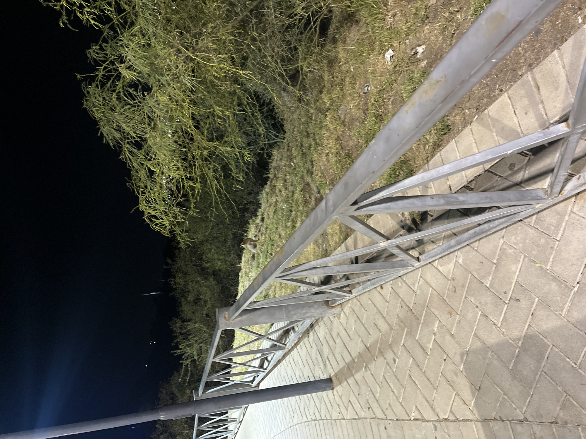 A metal barrier runs along a brick-paved walkway at night in San Fernando del Valle de Catamarca, Argentina. The walkway is bordered by vegetation including trees and grass. The sky is dark. The overall lighting is dim.