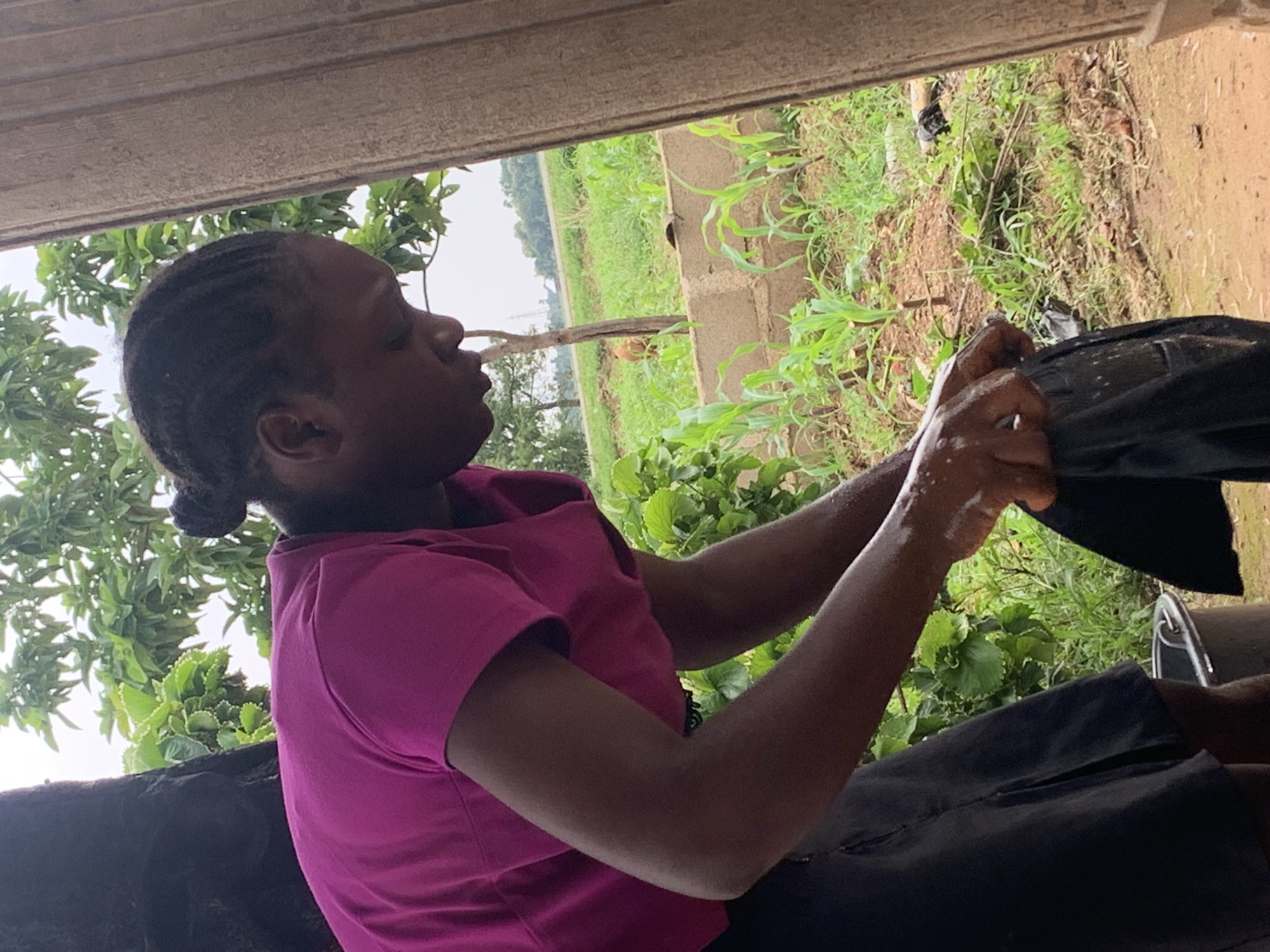 A young Black woman with braided hair styled in two buns is standing and washing dark fabric in a bucket. She is wearing a bright pink t-shirt and a black skirt. Her hands are wet, and she is actively wringing out the fabric. In the background, there is lush green vegetation, including trees and small plants. A rough, textured wall or pillar is visible on the right side of the frame. The ground appears to be dirt and there's a small gray bucket. The environment suggests an outdoor setting in a rural or semi-rural area, possibly within Agban, Nigeria, given the context. The lighting suggests an overcast or diffused daylight.
