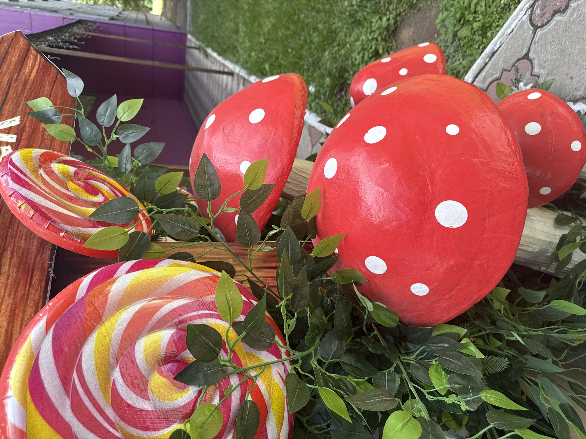 In Pavlodar, Kazakhstan, this image captures an outdoor decorative arrangement featuring oversized, whimsical elements. The foreground is dominated by a collection of red and white spotted mushroom decorations, with the largest positioned prominently in the center. To the left, a large, swirled lollipop decoration in vibrant colors of red, yellow, and white is visible. Artificial green foliage is interspersed throughout the display, adding a touch of artificial nature. In the background, a section of a building with purple walls and a gray, patterned pathway can be seen, suggesting an urban or semi-urban setting. The ground is covered with green grass and stone paving.