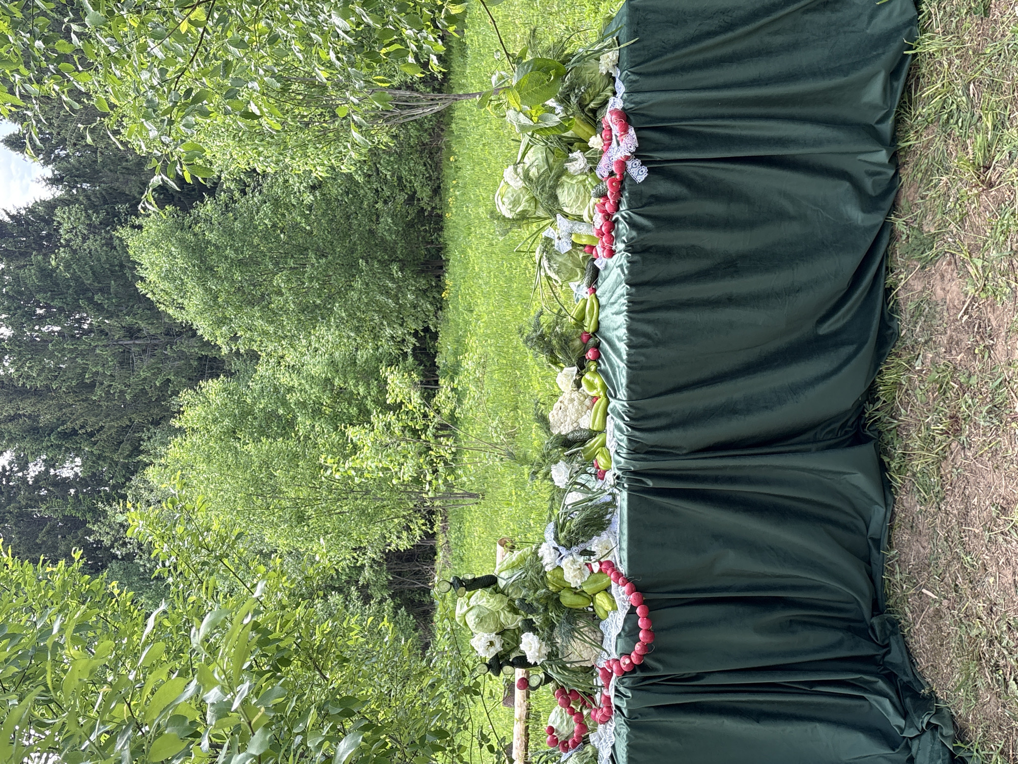 The image shows a long, dark green table covered with vegetables, including cabbages, cucumbers, radishes, and dill. A white lace trim decorates the edge of the table. The table is situated outdoors on grass, with trees and foliage in the background. The location is likely Sibir', Russia, based on the image request. No people are visible.