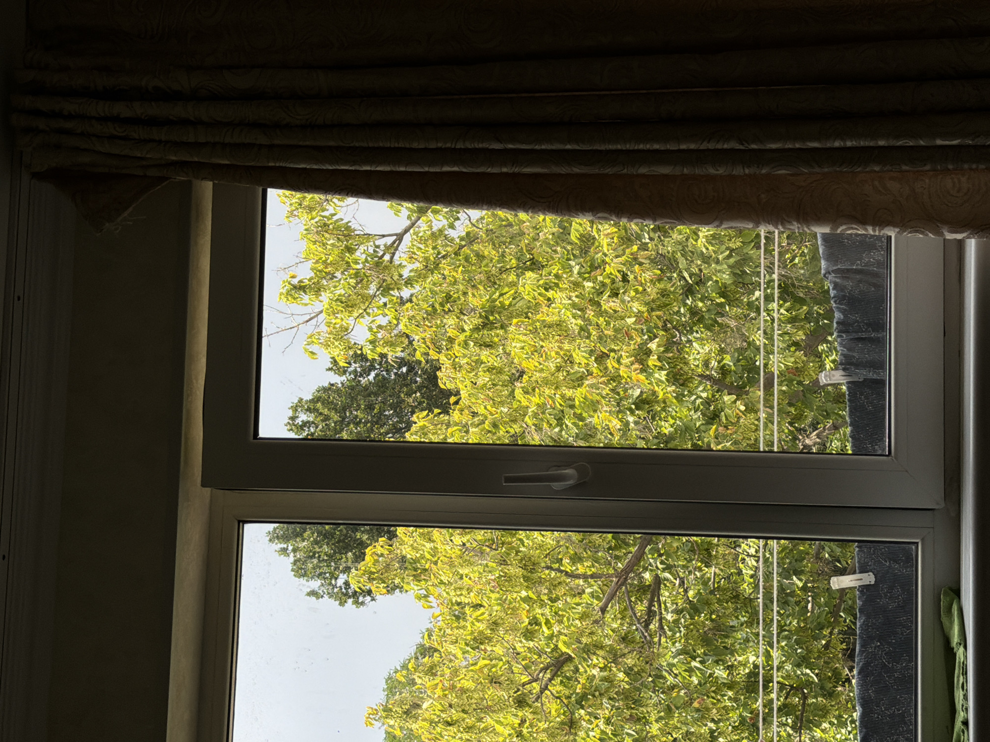 A view through a window in Chirchik, Uzbekistan, shows a dense canopy of bright green, sunlit trees. The window is framed by a white windowsill and mullions, with a beige curtain draped on the right side of the frame, obscuring a portion of the view. Below the trees, a clothesline is visible with dark fabric hanging from it, secured by white clothespins. A green cloth lies on the windowsill in the foreground. The sky is a pale, overcast gray.