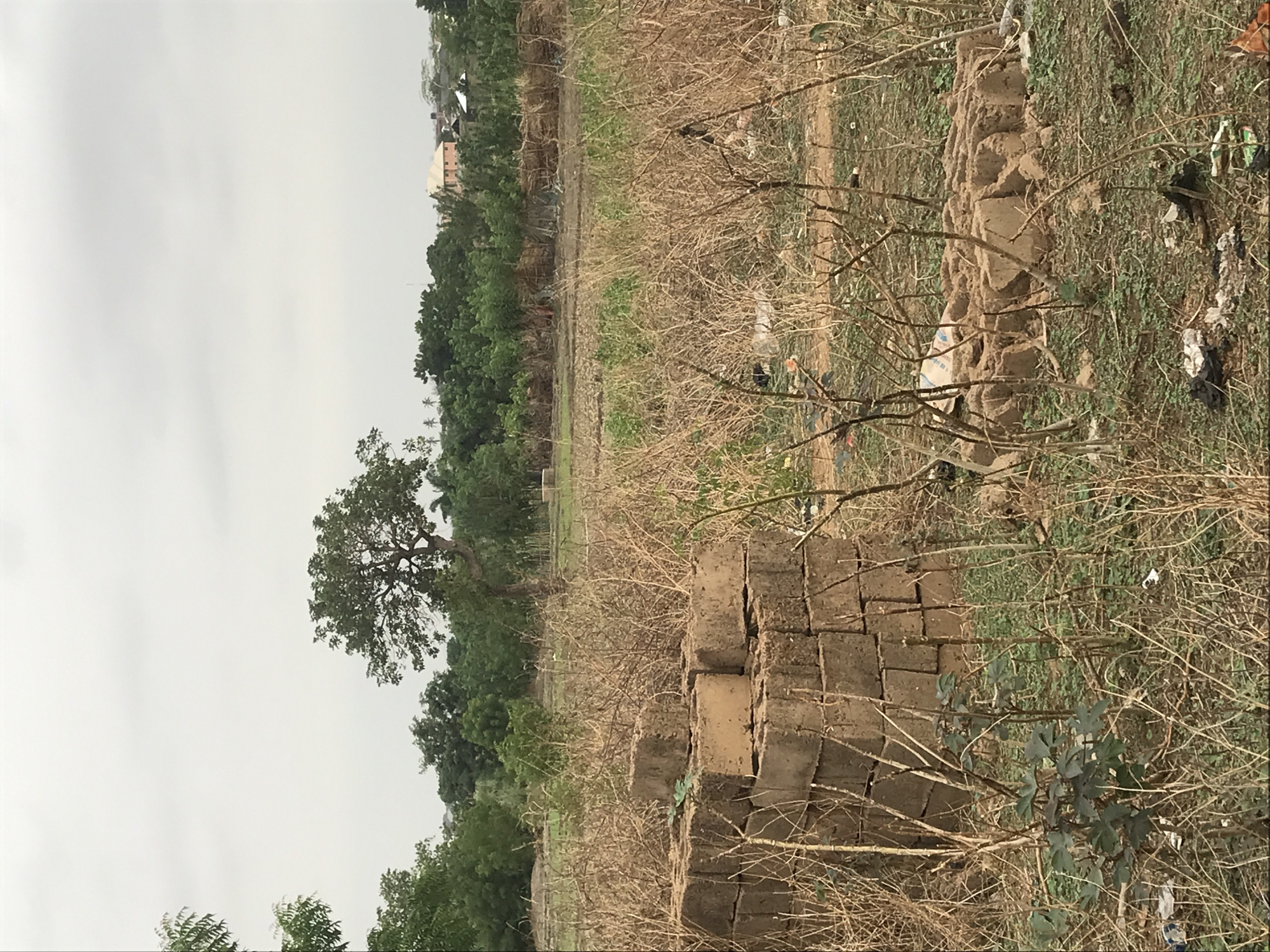 The image shows a field in Ilorin, Nigeria. In the foreground are stacks of mud bricks and dry, brown vegetation. Beyond this, the ground appears to be a mix of dry dirt and sparse greenery. In the midground is a line of trees and a single large tree with a dense canopy. In the background, some buildings can be seen in the distance under a grey, overcast sky. There are no people visible in the image.