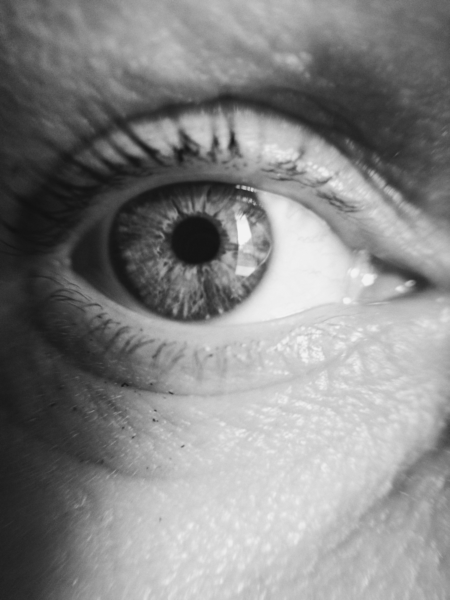 The black and white media file is a close-up shot of a human eye, likely a female due to the presence of eyelashes. The eye is the central focus, with the iris clearly visible, exhibiting a complex pattern of fibers. The pupil is dark and round, and a reflection of what appears to be a window or light source is visible on the cornea. The surrounding skin of the eyelid and under-eye area shows texture, including fine lines and pores. Small dark specks, possibly dust or debris, are visible on the skin and eyelashes. The lighting creates a dramatic contrast, highlighting the details of the eye and skin. The context provided suggests the location is Foky, Russia, but there are no visual cues within the image to confirm this. No text is visible in the media file. The image captures a moment of intense focus on the biological details of the human eye.
