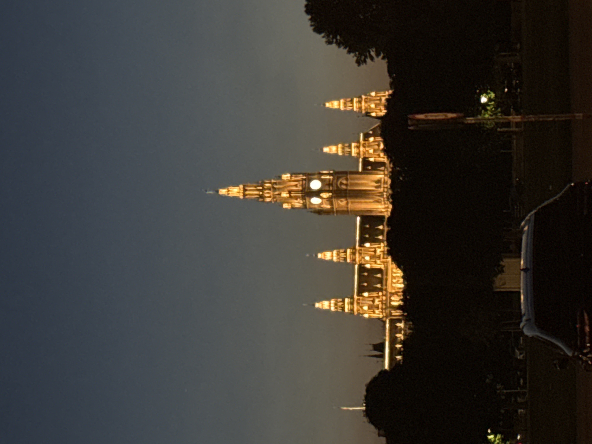 The image depicts the illuminated Rathaus (City Hall) in Vienna, Austria, at dusk. The Gothic Revival building is centrally located, with its prominent clock tower and spires brightly lit against the darkening sky. In the foreground, the silhouettes of trees obscure the lower portion of the building, and the roof and trunk of a dark-colored car are visible. The overall scene is a nighttime urban landscape.