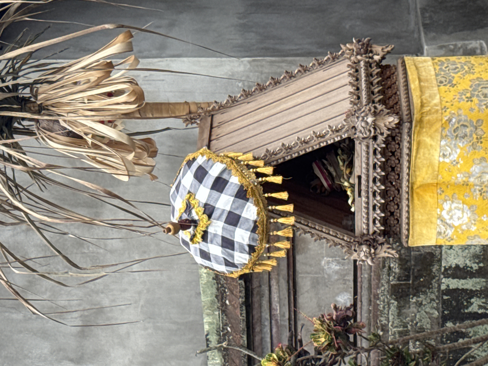 This media file shows a close-up, vertically oriented shot of decorative elements likely found in a tropical or Asian setting. The primary subjects are an ornate, carved wooden structure resembling an altar or shrine, and an umbrella with a black and white checkered pattern.
The wooden structure is intricately carved with detailed patterns and has a slatted roof. A bright yellow fabric, possibly silk with a floral pattern, is draped over a portion of the structure. The umbrella, a prominent object, is adorned with a decorative gold trim and multiple small yellow tassels. It is positioned as if it is being held or displayed.
To the left of the wooden structure, there's a bundle of dried, straw-like material, possibly palm fronds, tied together and extending upwards and outwards. This suggests a connection to natural elements or possibly a ceremonial purpose. In the background, a textured gray wall, possibly concrete, is visible. Towards the bottom right, some greenery, possibly succulents or other plants, can be seen.
The lighting suggests it might be daytime, though the scene is primarily illuminated by artificial light or indirect sunlight, creating soft shadows. There are no visible people or explicit cues about the time of day or weather conditions, other than the presence of dried natural materials and lush greenery that might hint at a warm climate. The overall impression is one of decorative artistry and cultural significance, possibly related to a temple, a market, or a festive occasion. No text is visible in the image.