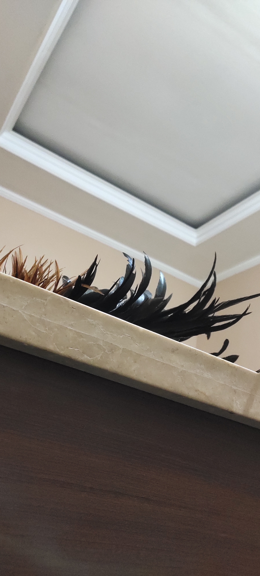 A close-up, low-angle shot shows a group of dark feathers fanned out on top of a cream-colored marble surface. The feathers are arranged in a cluster, with some appearing to be brown and others black. Behind the feathers, a beige wall meets a white ceiling with molding. The marble surface rests on a dark brown wooden surface, which occupies the bottom portion of the image. The overall scene appears to be indoors, likely within a residential or commercial space in Manyar, Indonesia. No people are present in the image.
