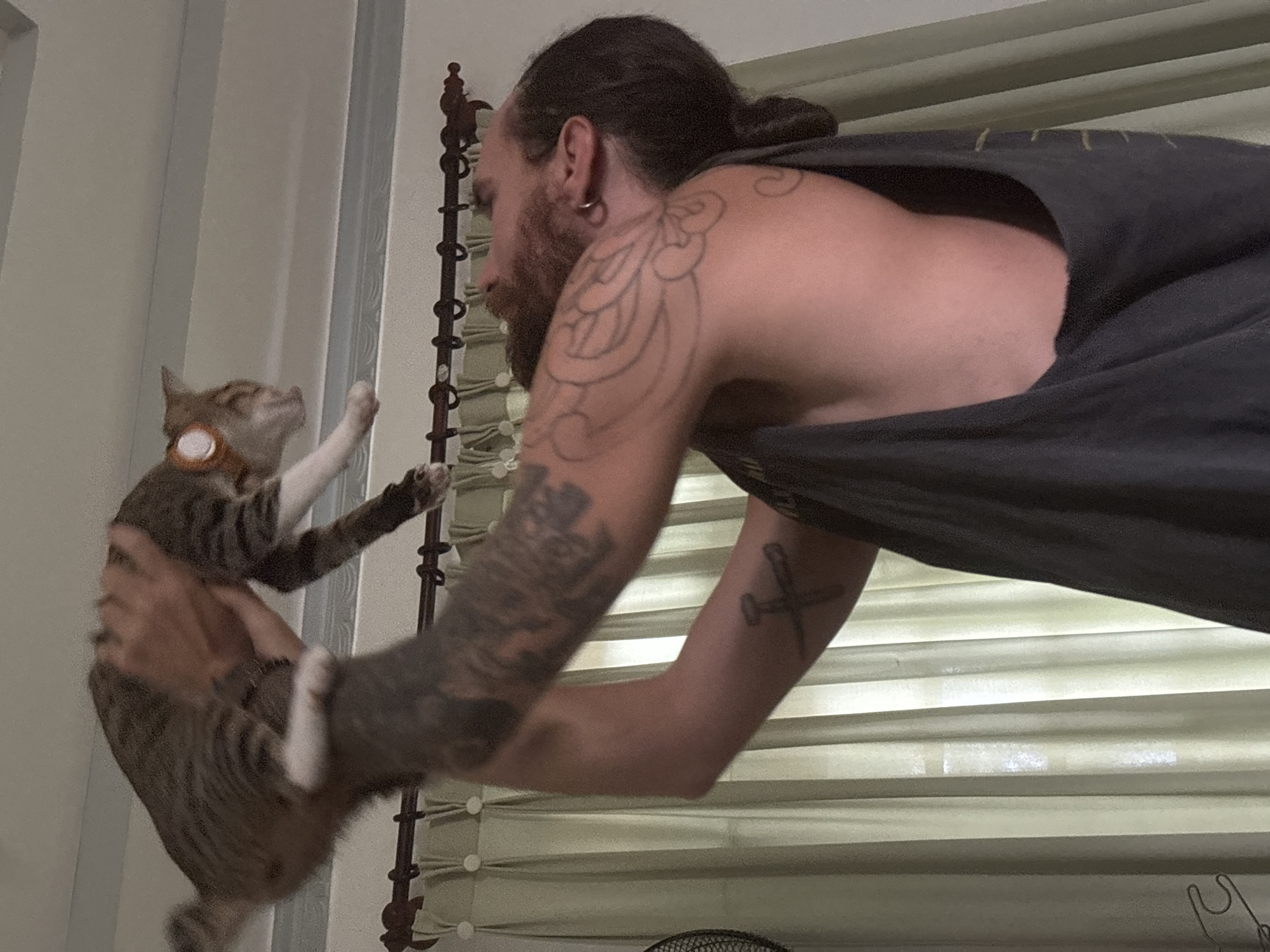 A person with dark hair, a beard, and tattoos on their arms is holding a tabby cat up in the air. The cat is wearing a light-colored collar with a circular tag. The person is wearing a dark gray tank top. They are indoors, with light green curtains visible in the background. There is a curtain rod with decorative finials above the curtains. A portion of a black fan is visible on the left side of the frame. The image is not specific enough to determine the exact location in Phu Thuy Ward, Vietnam, beyond being an indoor setting.