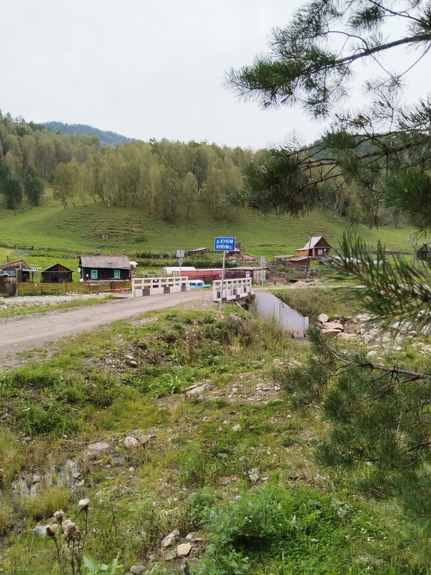 The image depicts a rural scene in the city of Nizhnii Kuium, Russia, on a cloudy day. In the foreground, a dirt road leads towards a white bridge spanning a small body of water. Lush green vegetation, including tall grasses and wildflowers, lines the sides of the road and the watercourse. Several rustic wooden houses with varying architectural styles are visible, some with fences. A blue sign with Cyrillic lettering, indicating "p. KUYUM KUYUM s.", is posted on the left side of the road near the bridge. A small, light blue vehicle is partially visible on the bridge. In the background, a verdant hillside is covered with a dense forest of deciduous trees, predominantly light-colored birch trees, and further up, a darker, coniferous forest. Pine branches frame the top right portion of the image. The overall atmosphere is tranquil and pastoral. There are no people visible in the image.