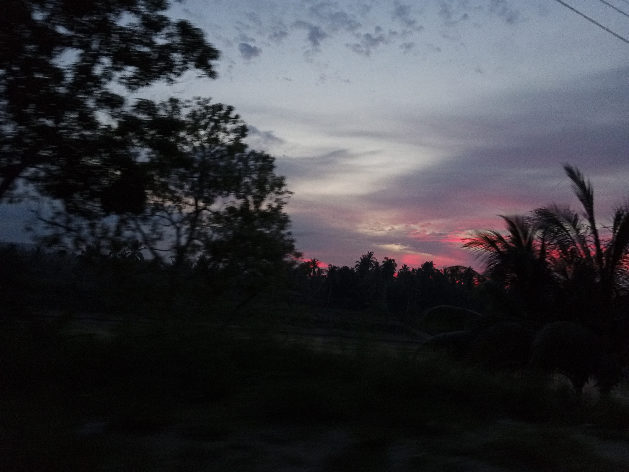 The image shows a blurred silhouette of trees and palm trees against a twilight sky. The sky is painted with hues of pink, purple, and grey, suggesting either sunrise or sunset. The foreground is dominated by dark, indistinct shapes of vegetation and possibly land. The overall impression is one of natural scenery at dusk or dawn. The location is specified as Blangpanjoe, Indonesia, but there are no specific landmarks or elements in the image that would confirm or deny this particular location. There are no people or discernible actions or interactions captured.