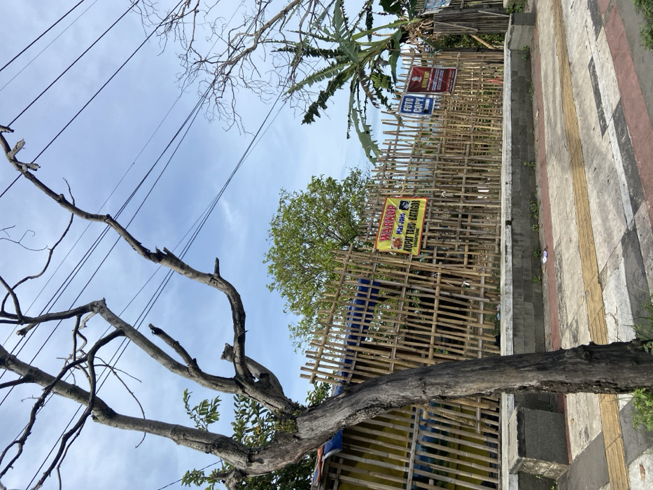 A view of a street in Soreang, Indonesia (latitude: -7.023, longitude: 107.533). A large, bare-branched tree stands in the foreground, to the left of the frame, in front of a bamboo fence that stretches across the scene. The fence is constructed of interwoven, horizontal bamboo poles, and there are several signs attached to the bamboo. There are two trees beyond the fence, and a clear blue sky above. The street in the foreground is made of concrete and is striped with painted lines. The street appears to be a public space, with pedestrian traffic visible in the lower part of the frame.