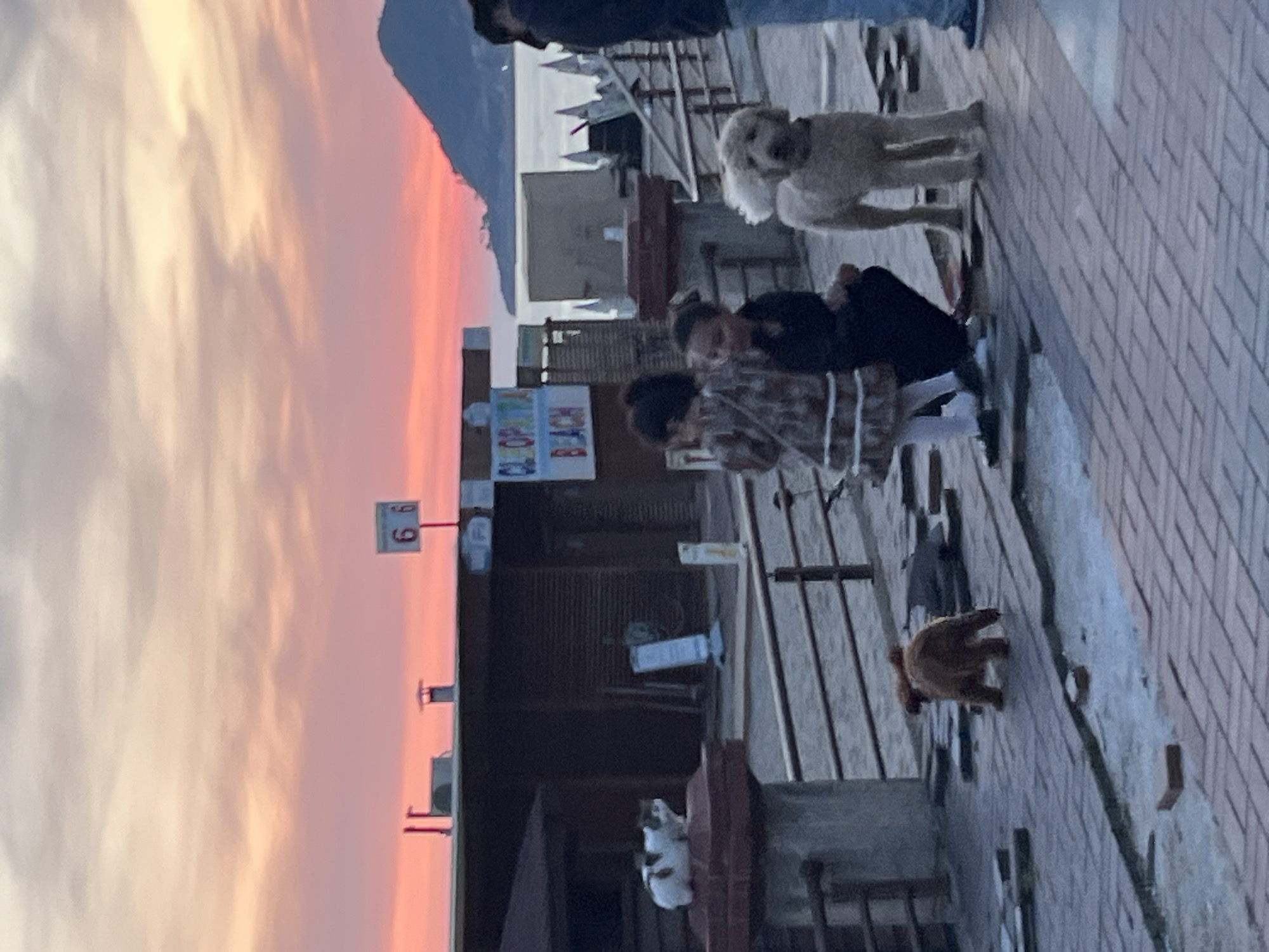The image shows a waterfront scene in Alanya, Turkey, at dusk. The sky is a blend of orange, pink, and white, indicating a sunset.
People are present on a brick-paved walkway. There are two dogs, one a large, white poodle-type dog. A cat is visible near a building structure in the background.
There is a sign that says " Cleopatra Beach."
The number "66" is on a sign.
The walkway is lined with metal railings. The background includes buildings.