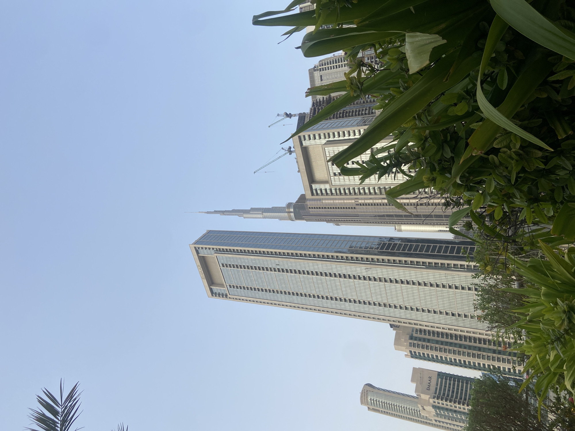 The photograph presents a low-angle view of skyscrapers in Dubai, United Arab Emirates. The Burj Khalifa dominates the skyline, positioned among other high-rise buildings. Construction cranes are visible near one of the taller buildings, indicating ongoing development. Lush green foliage frames the edges of the image, providing a foreground contrast to the urban environment. The sky appears clear, suggesting daylight conditions.