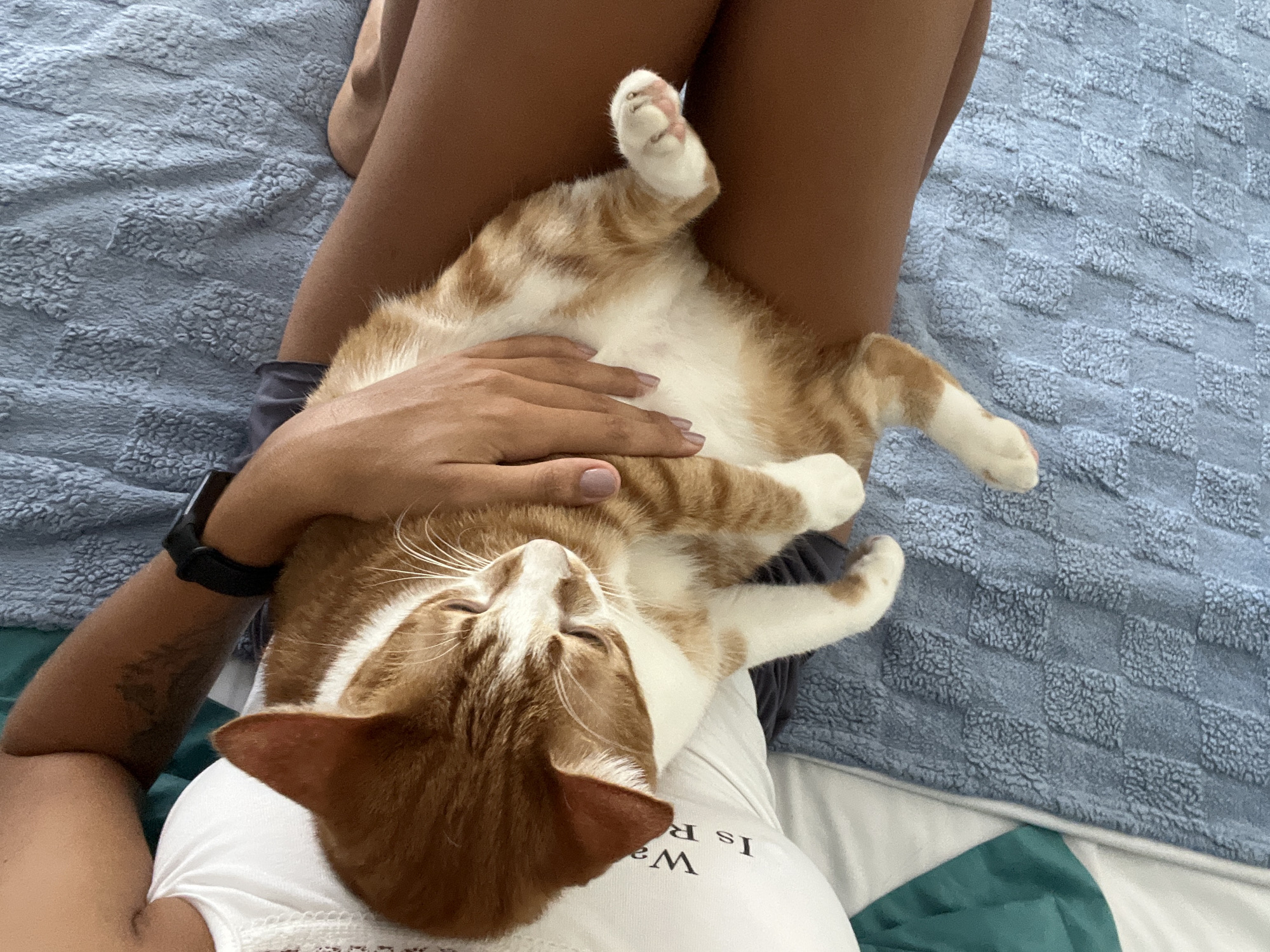 A person is reclined, with a tabby cat lying upside down on their torso. The person is wearing a white t-shirt with text partially visible. A black smartwatch is on their left wrist. Their right hand is resting on the cat's belly. The cat is orange and white, with its eyes closed, and paws extended. The background is a light blue textured blanket. The location is Unknown, Indonesia.